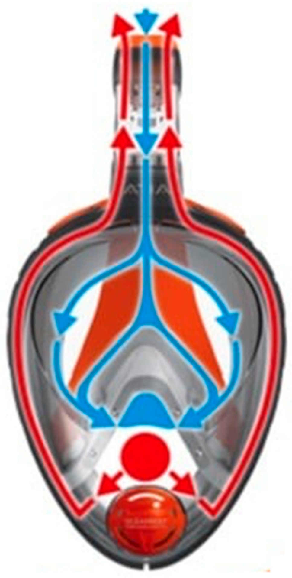 Ijerph 17 04347 g005