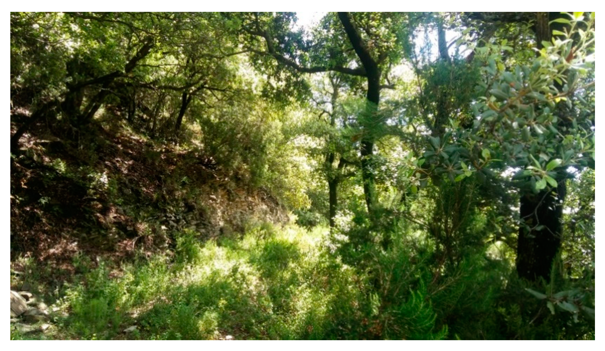 Ijerph 17 04391 g001