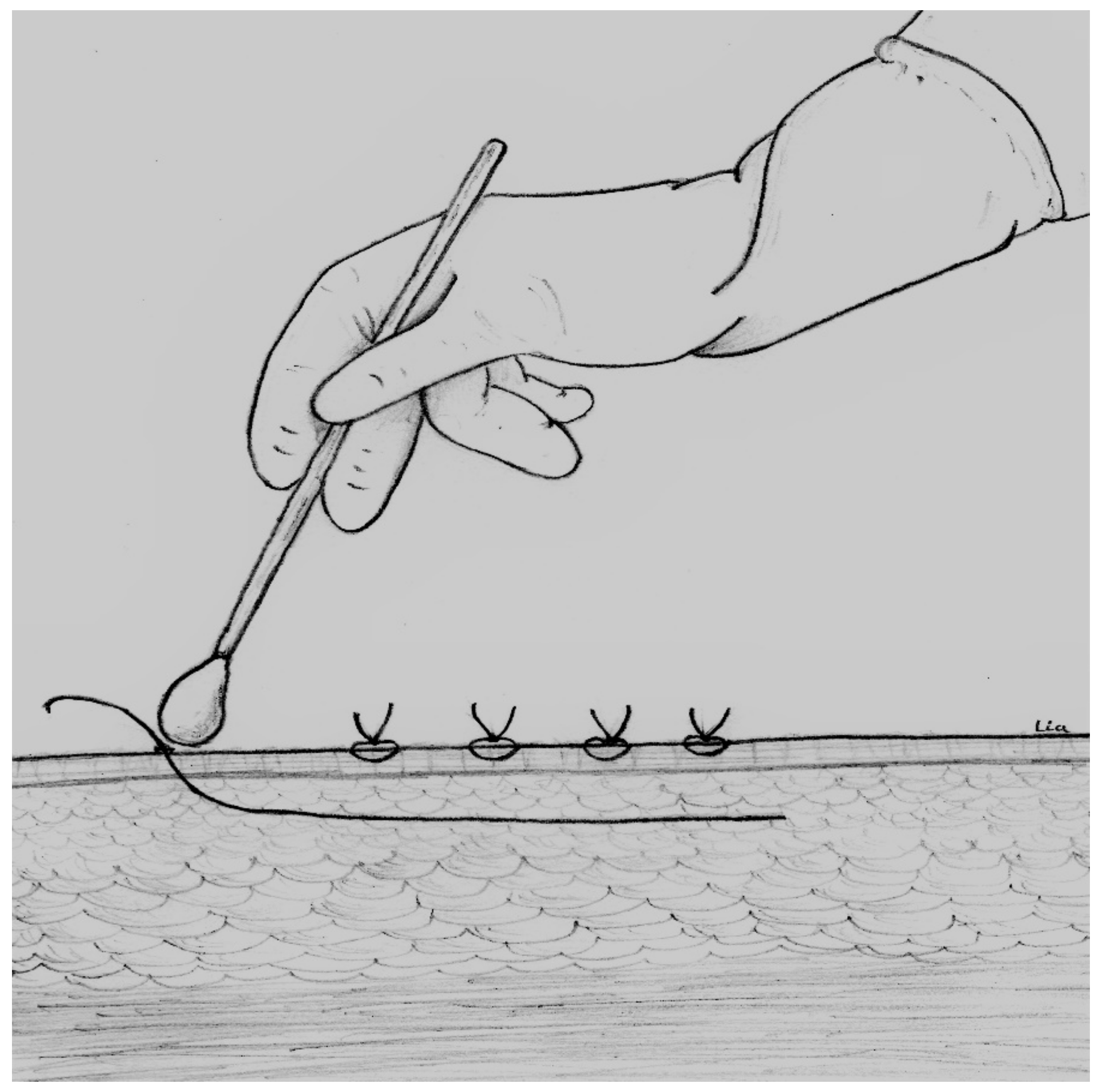 Ijerph 17 04416 g001