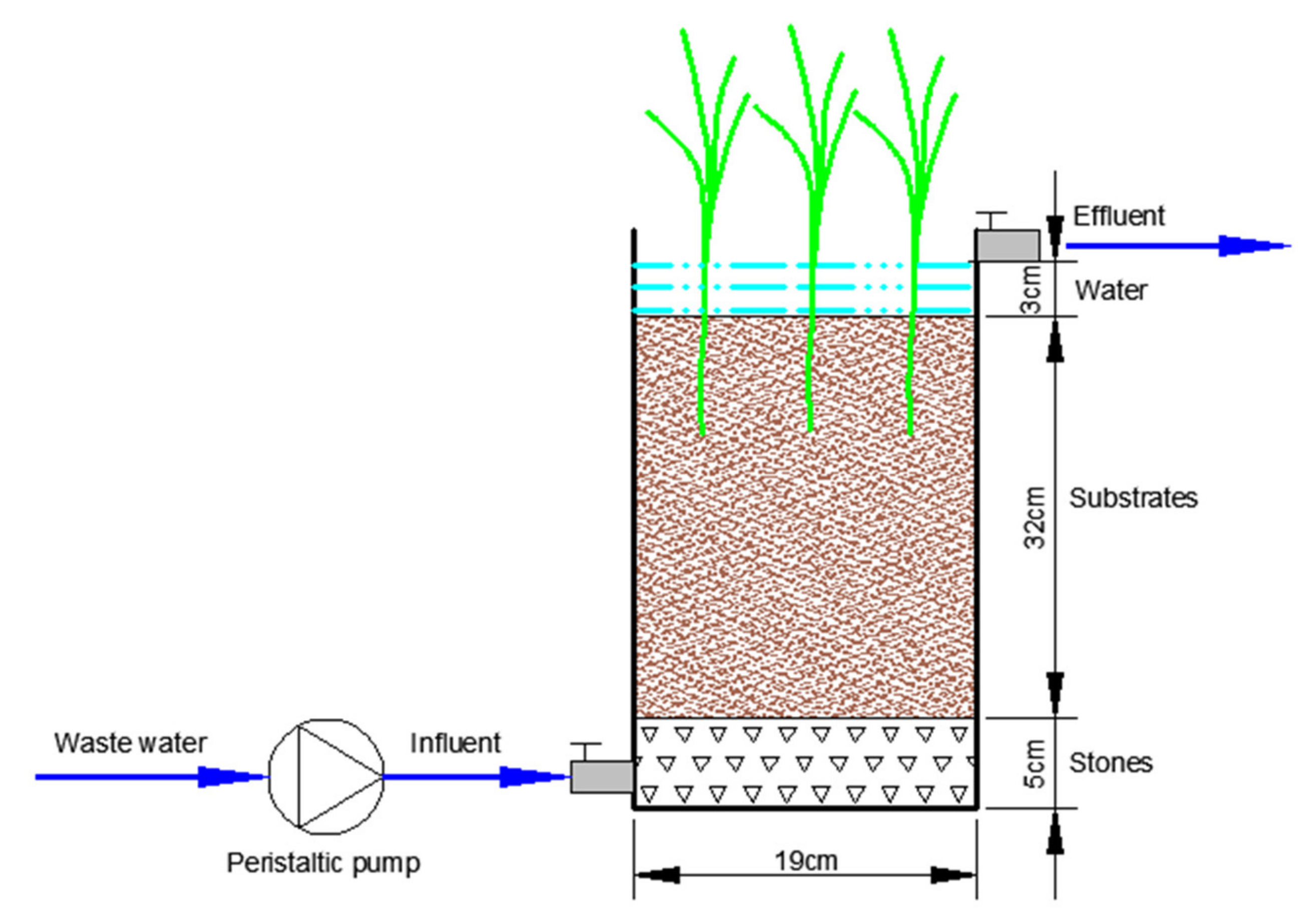 Ijerph 17 04692 g001