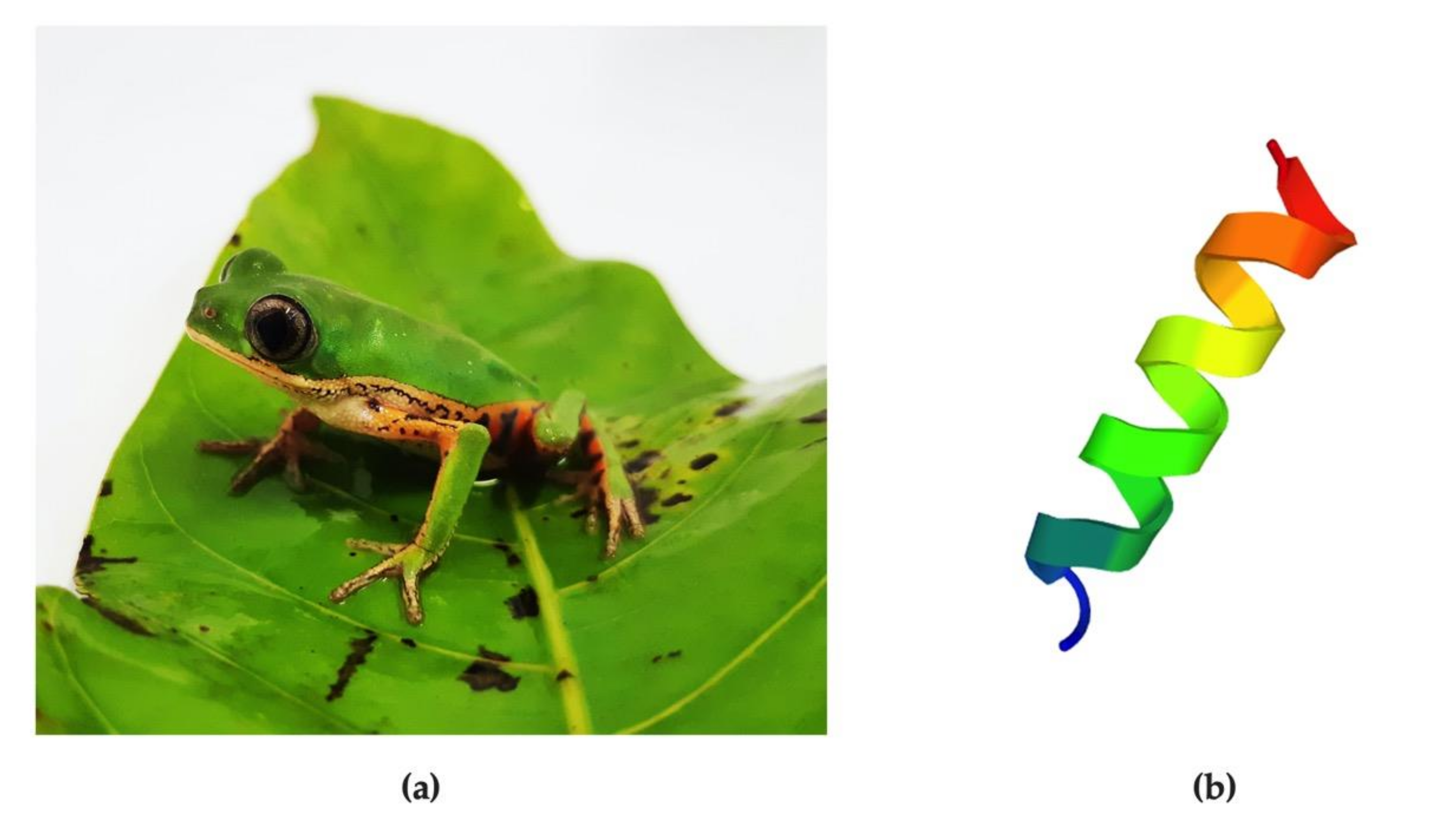 Ijerph 17 04856 g001