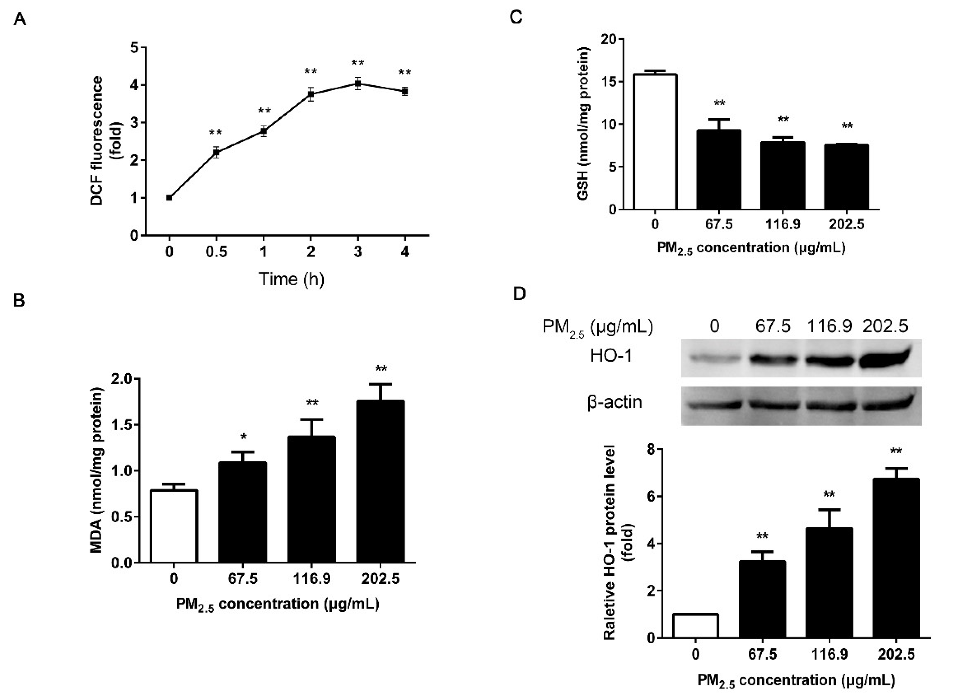Ijerph 17 04874 g002