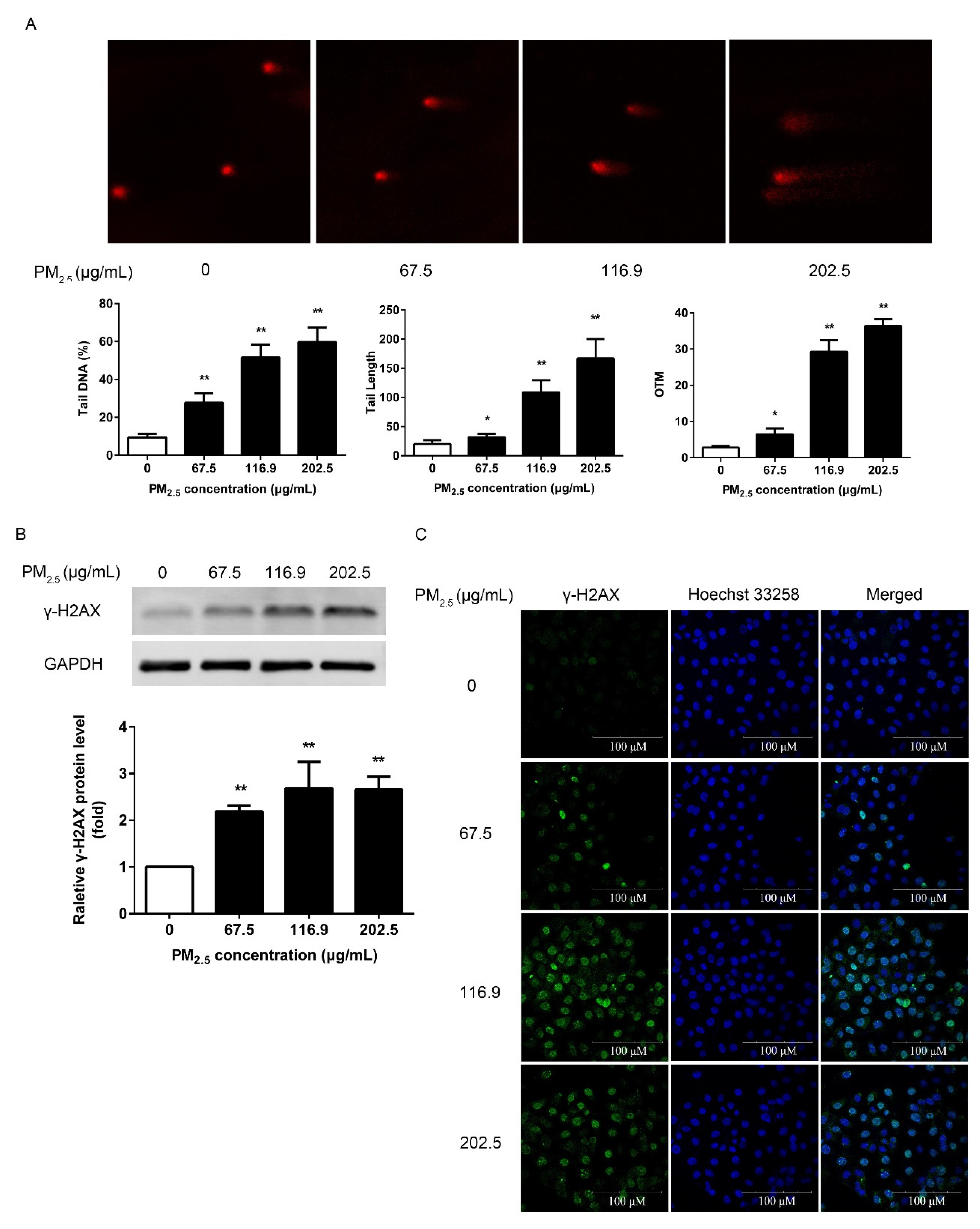 Ijerph 17 04874 g003