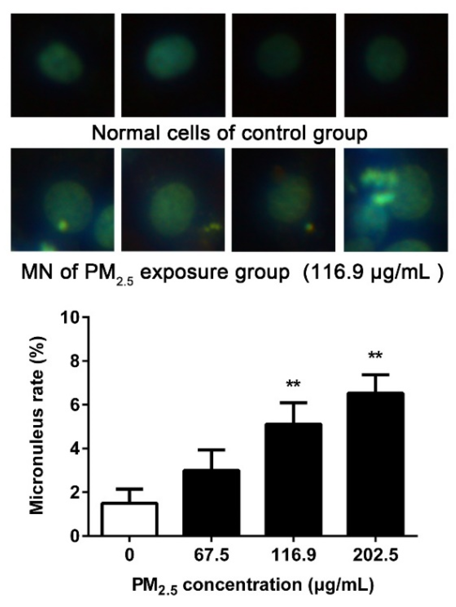 Ijerph 17 04874 g005