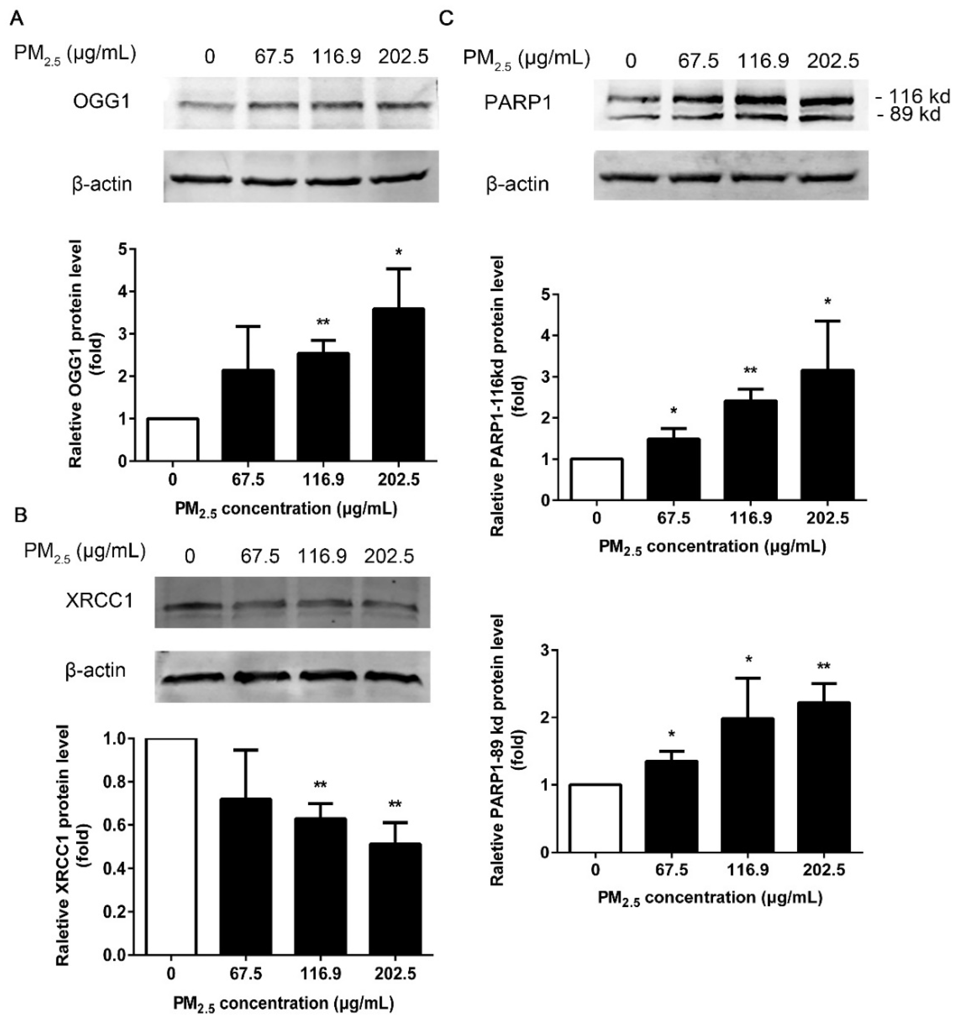 Ijerph 17 04874 g006