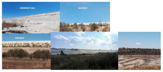 Ijerph 17 04929 g0a1