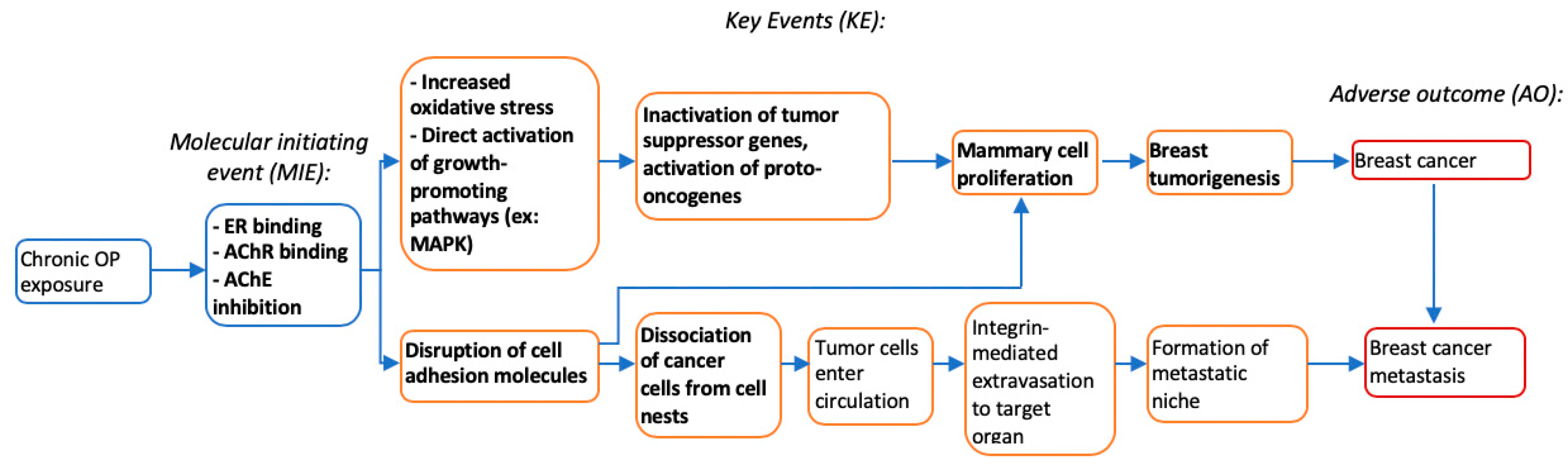 Ijerph 17 05030 g002 Ijerph 17 05030 g002