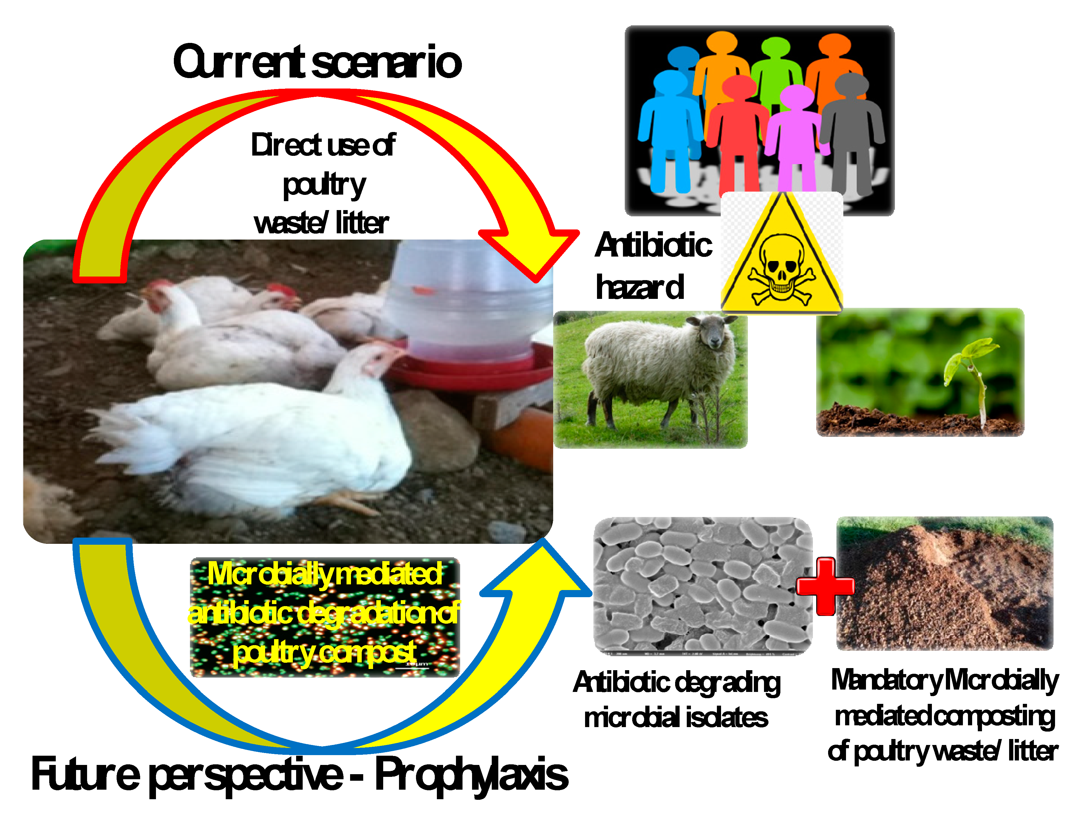 Ijerph 17 05053 g001