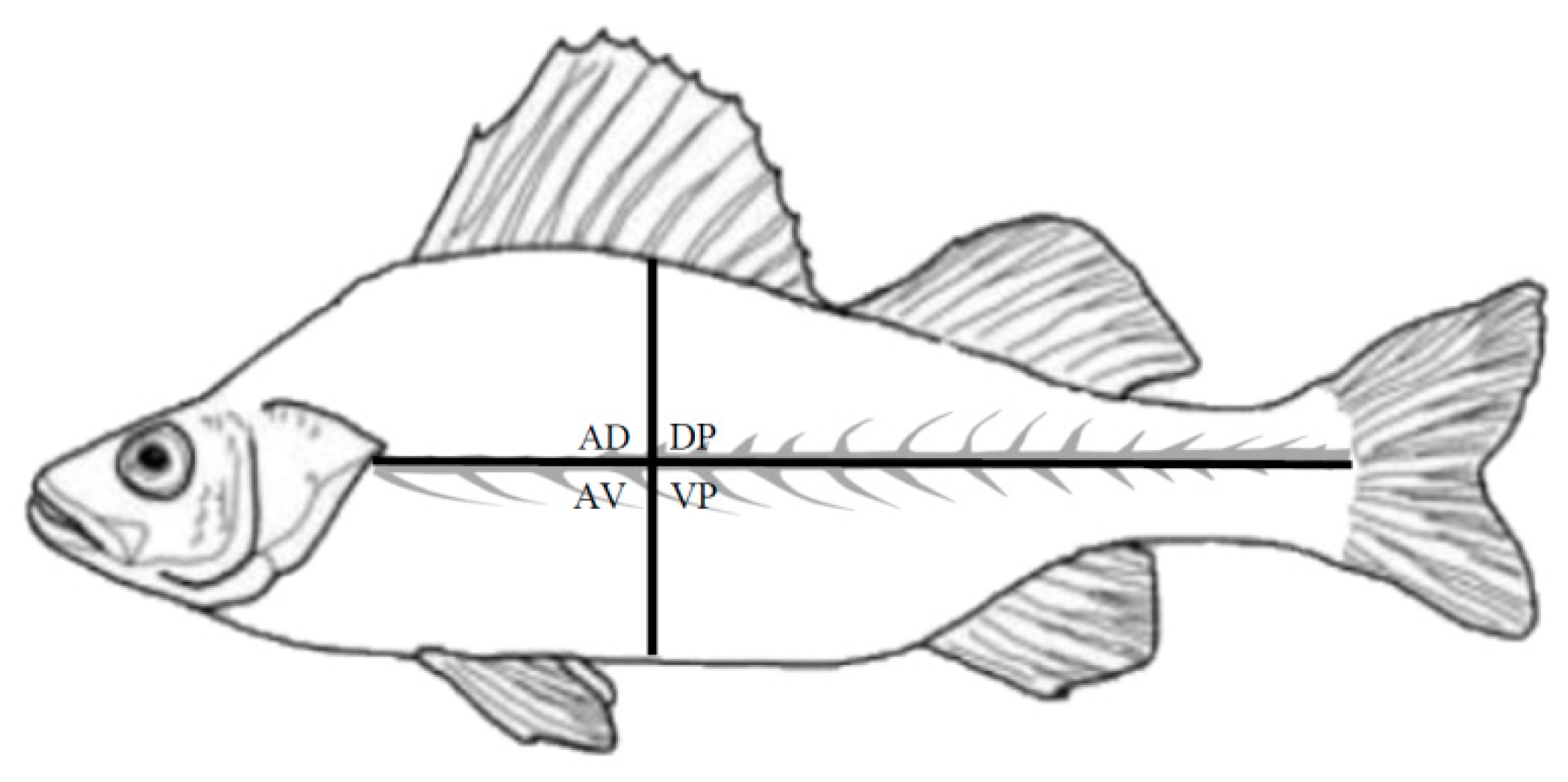 Ijerph 17 05070 g002