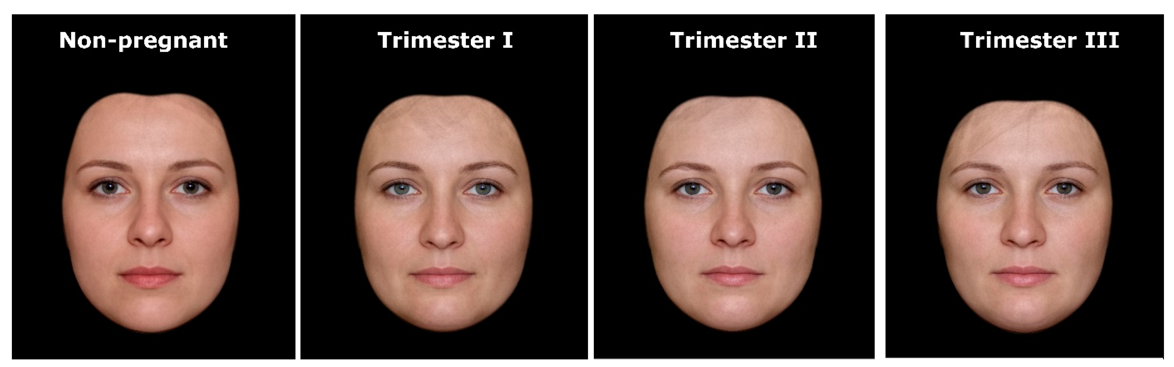 Ijerph 17 05176 g001