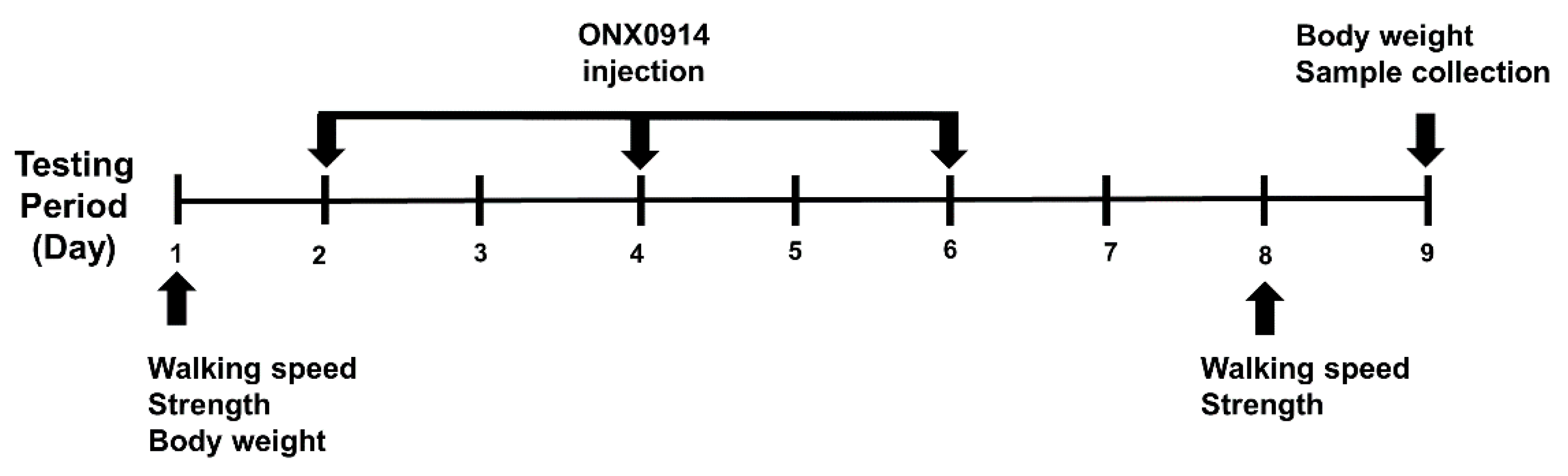 Ijerph 17 05211 g001