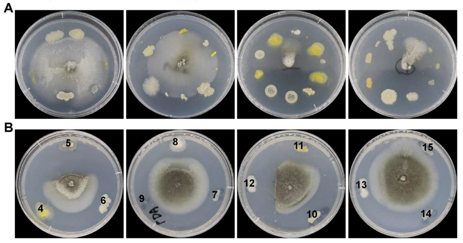 Ijerph 17 05248 g001 Ijerph 17 05248 g001