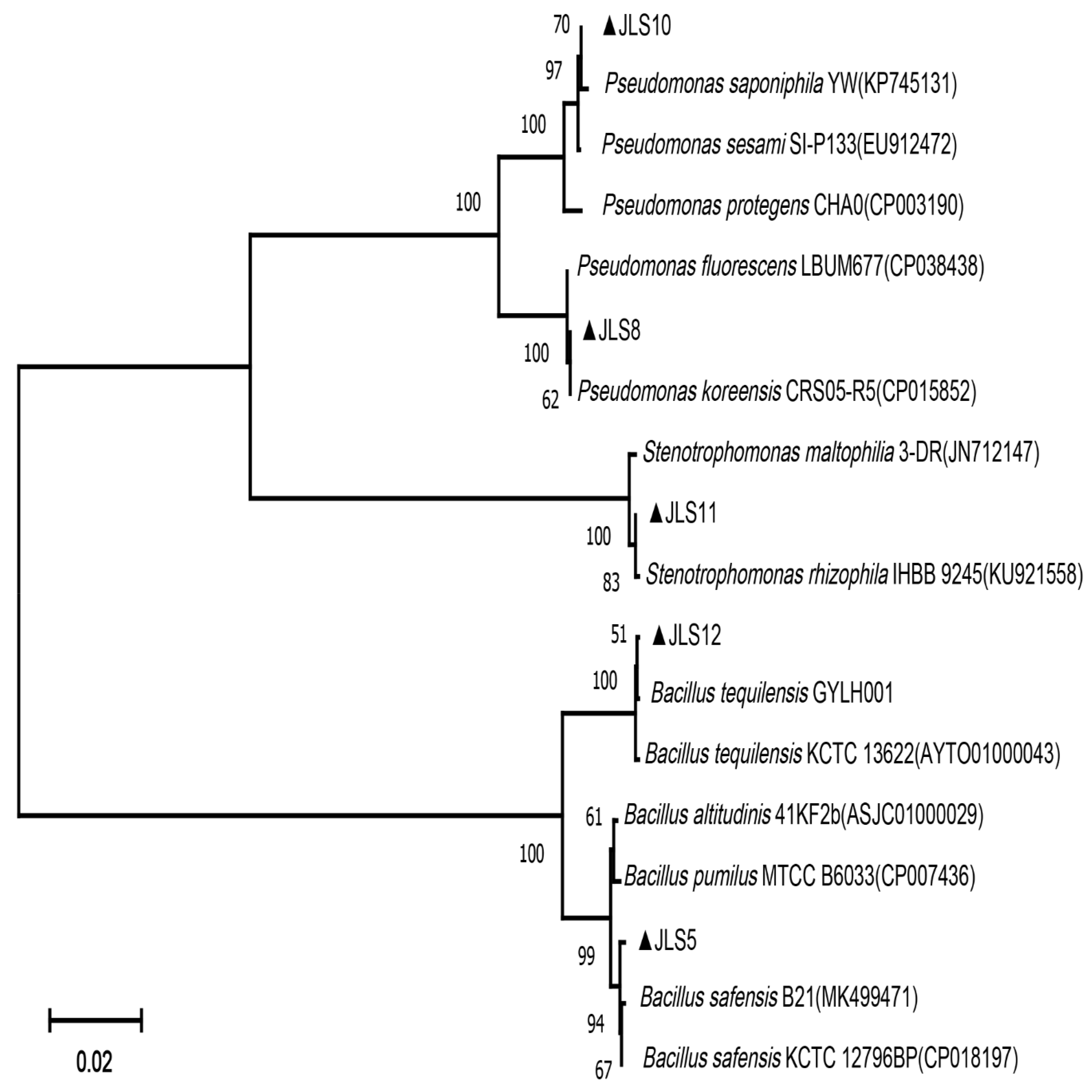 Ijerph 17 05248 g002 Ijerph 17 05248 g002