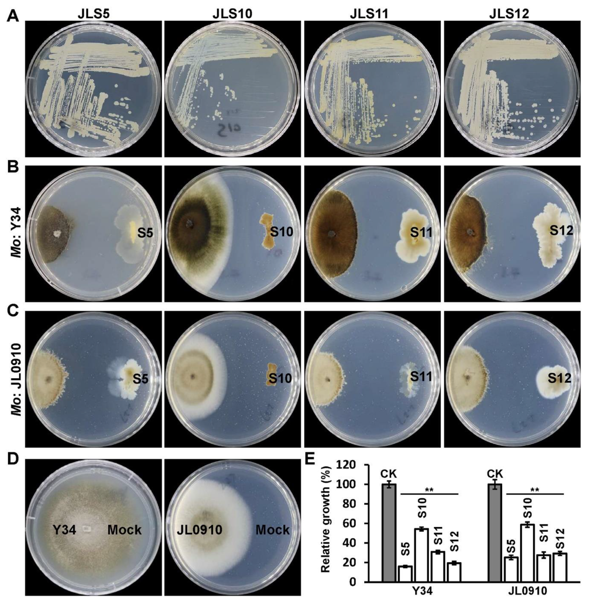 Ijerph 17 05248 g003 Ijerph 17 05248 g003