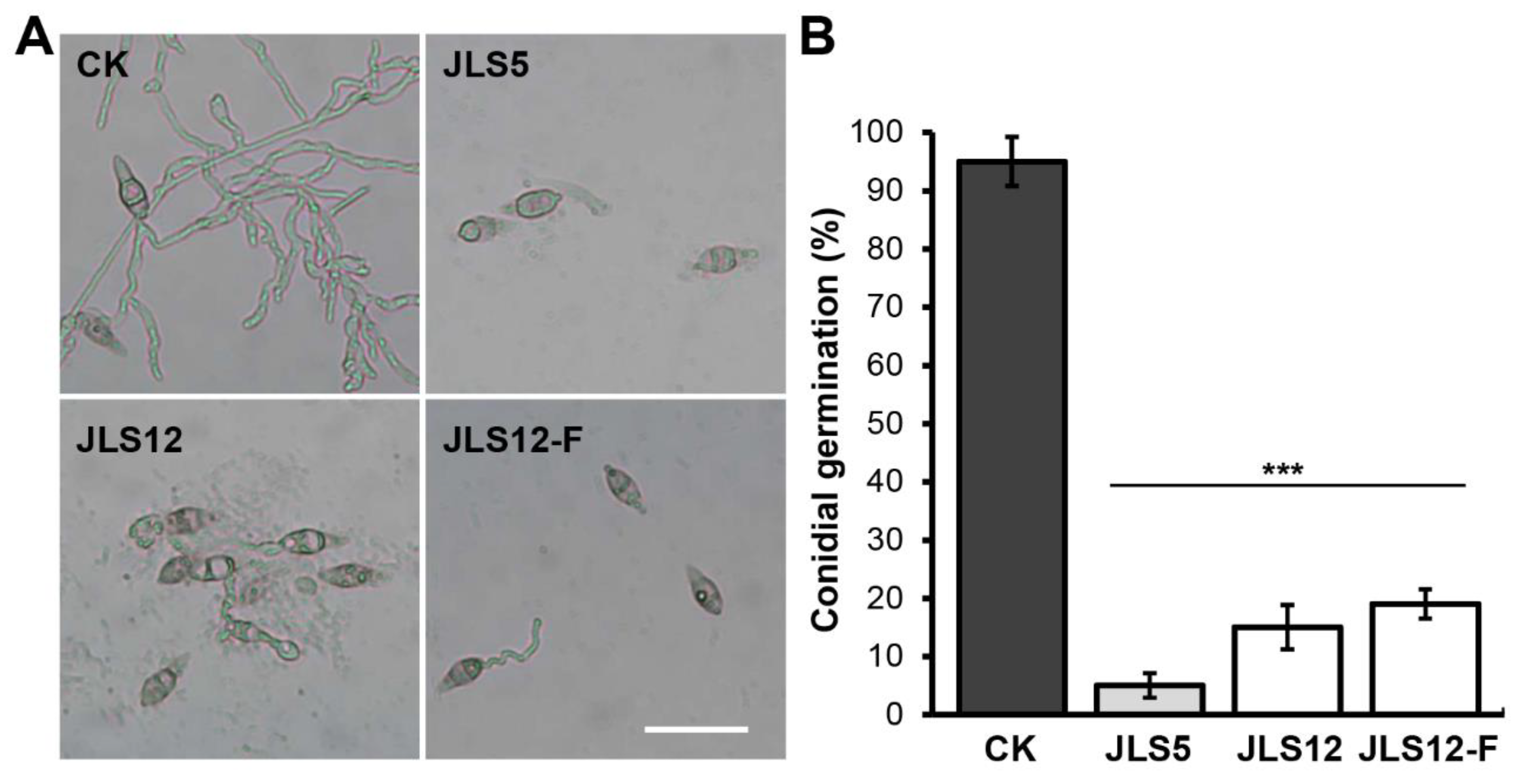 Ijerph 17 05248 g004 Ijerph 17 05248 g004