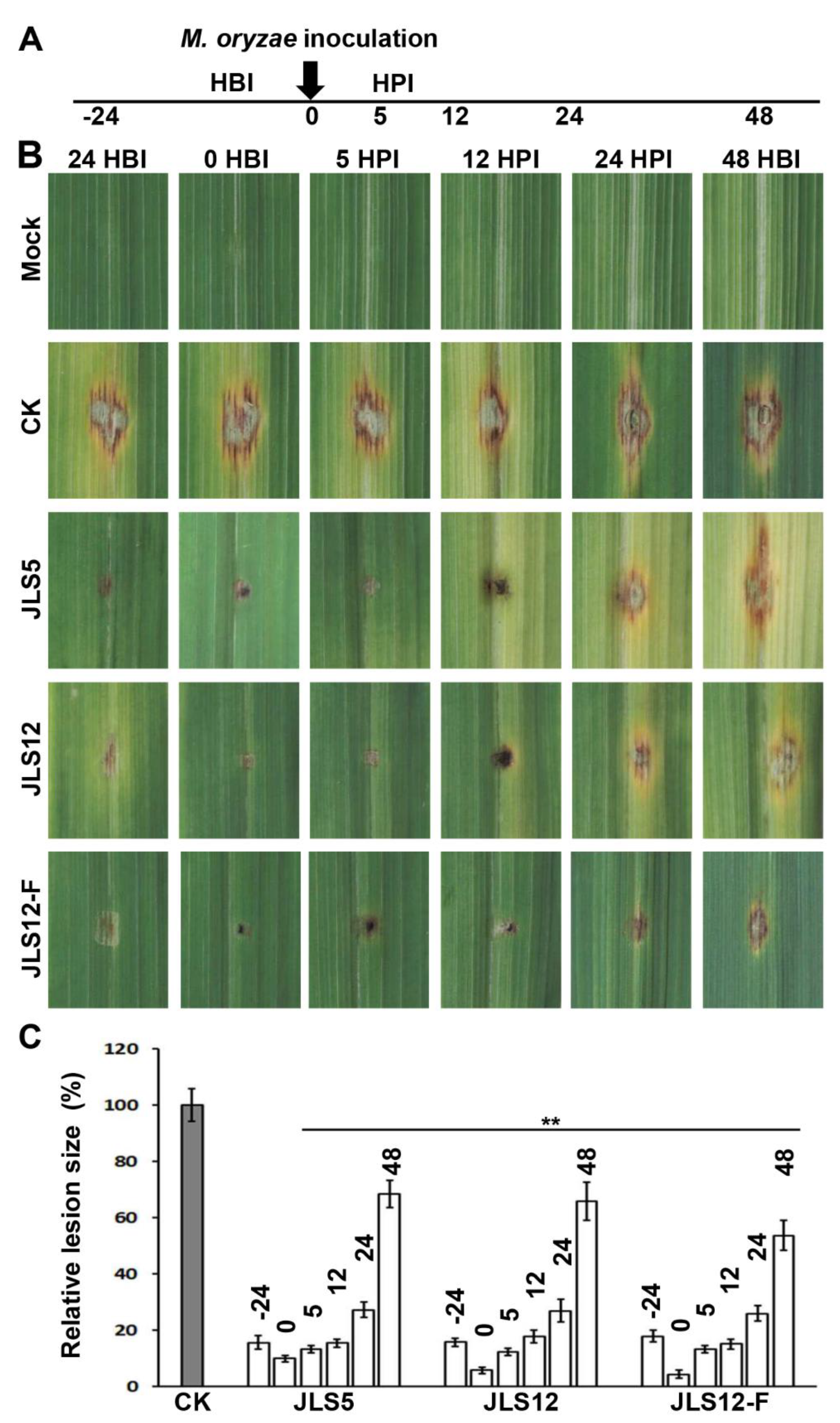 Ijerph 17 05248 g005 Ijerph 17 05248 g005