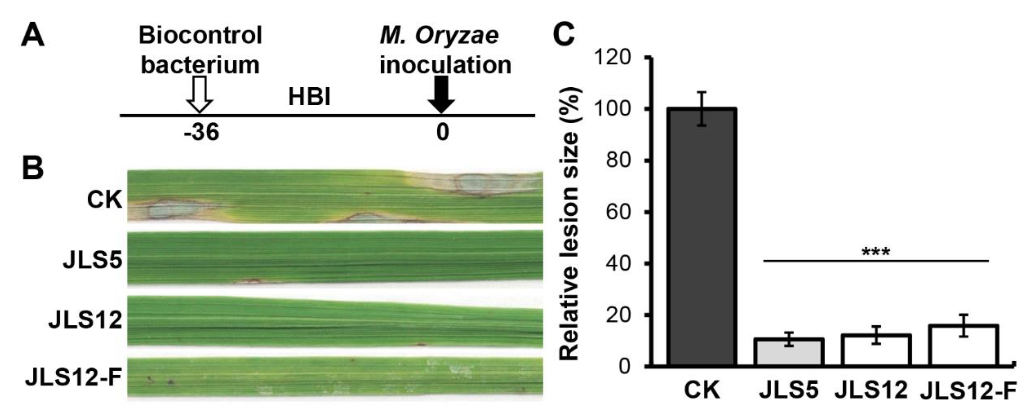 Ijerph 17 05248 g007 Ijerph 17 05248 g007