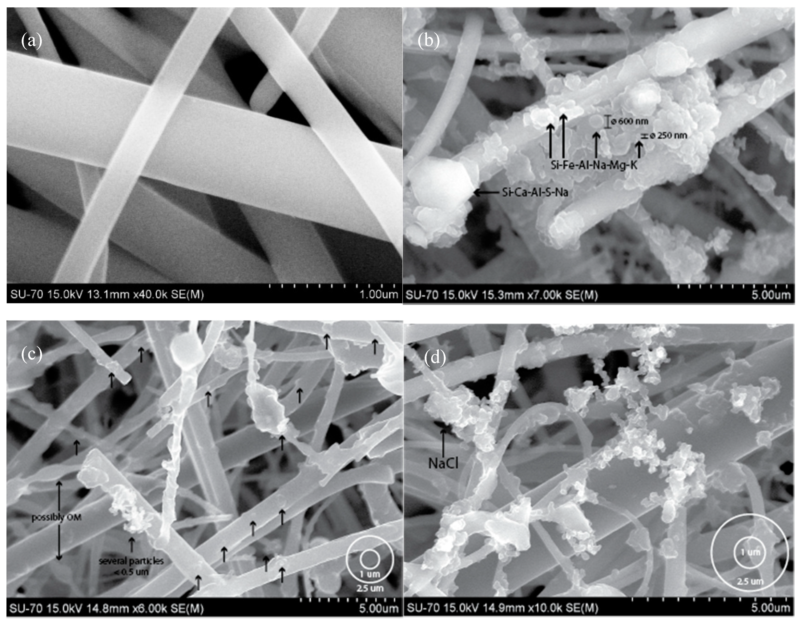 Ijerph 17 05256 g003 Ijerph 17 05256 g003