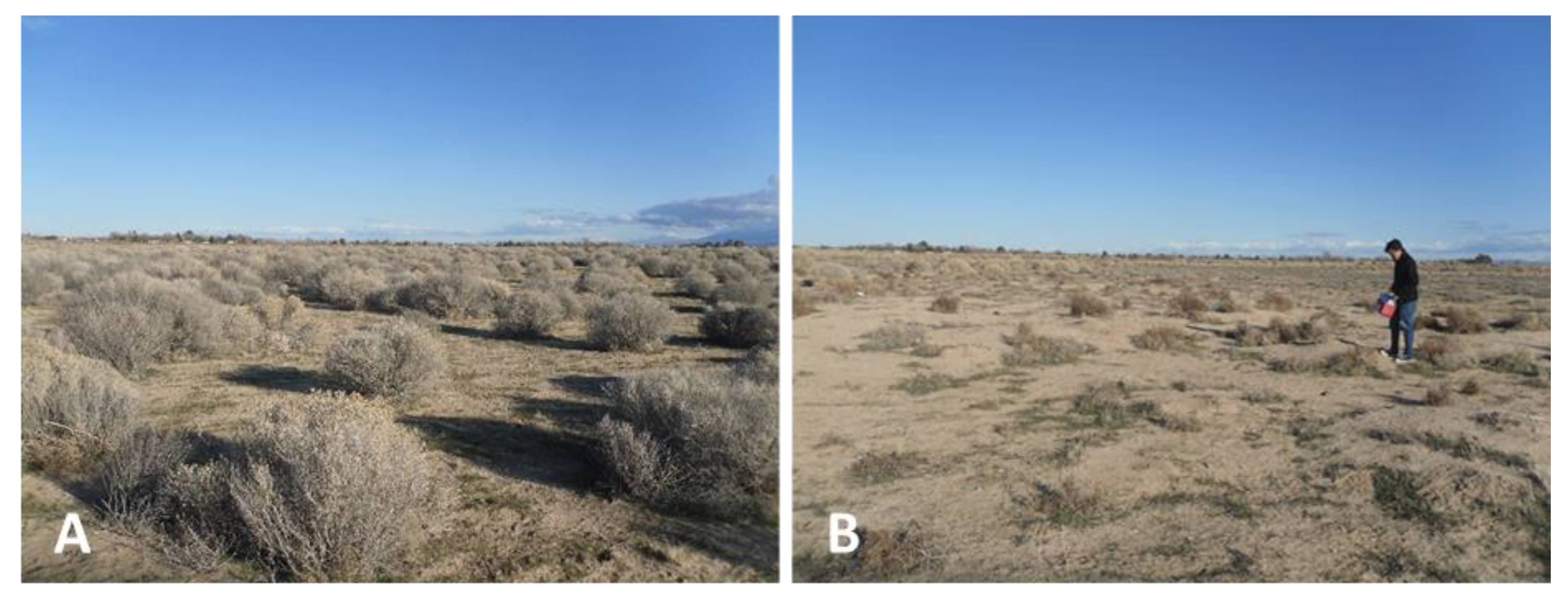 Ijerph 17 05285 g013