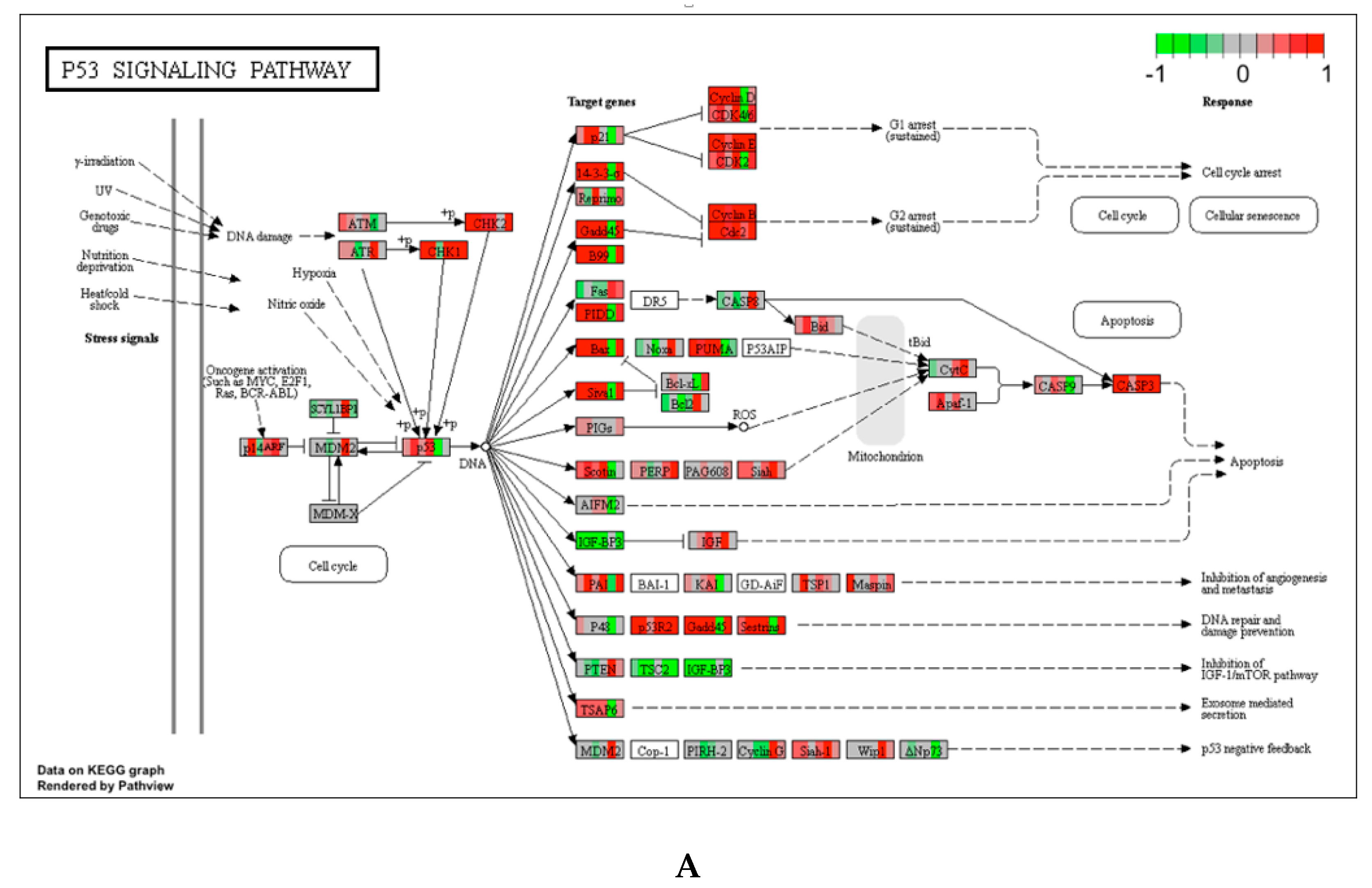 Ijerph 17 05466 g002a