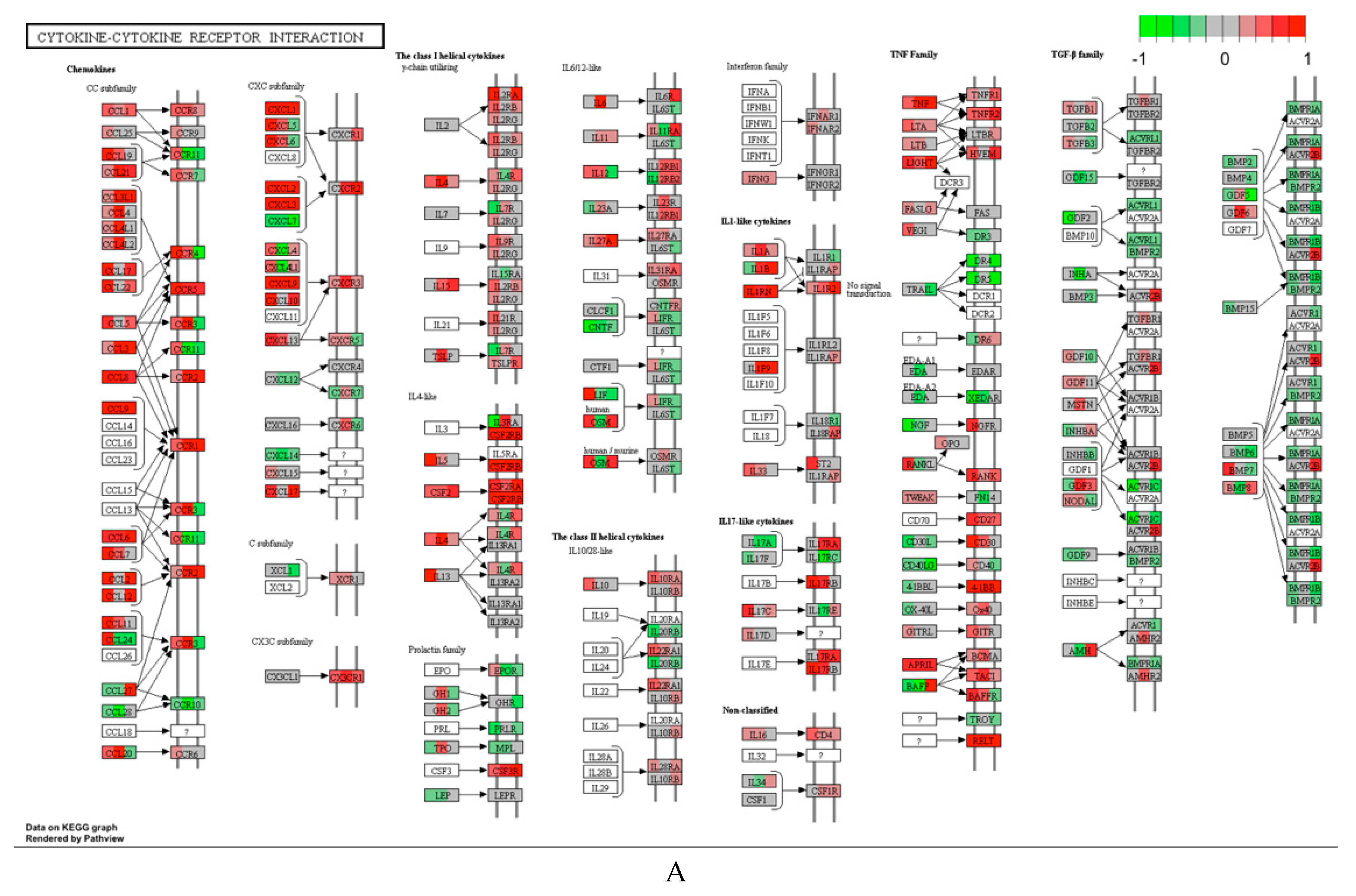 Ijerph 17 05466 g003a