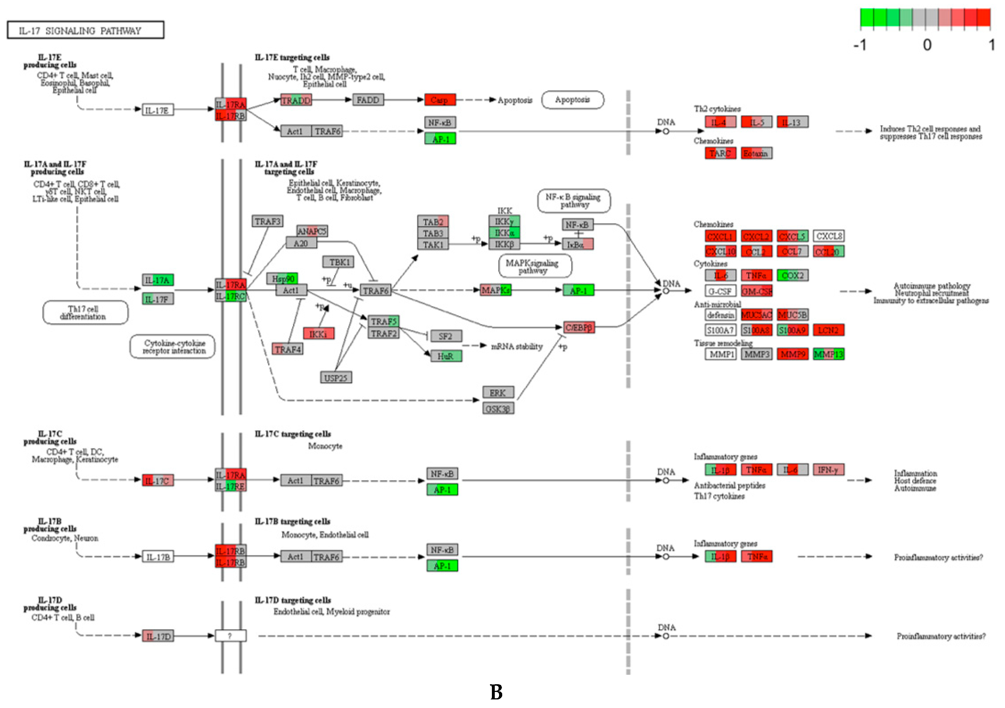 Ijerph 17 05466 g003b