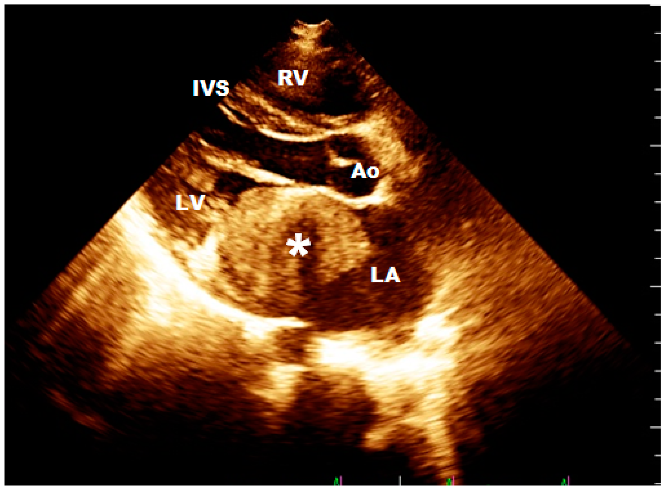 Ijerph 17 05471 g001