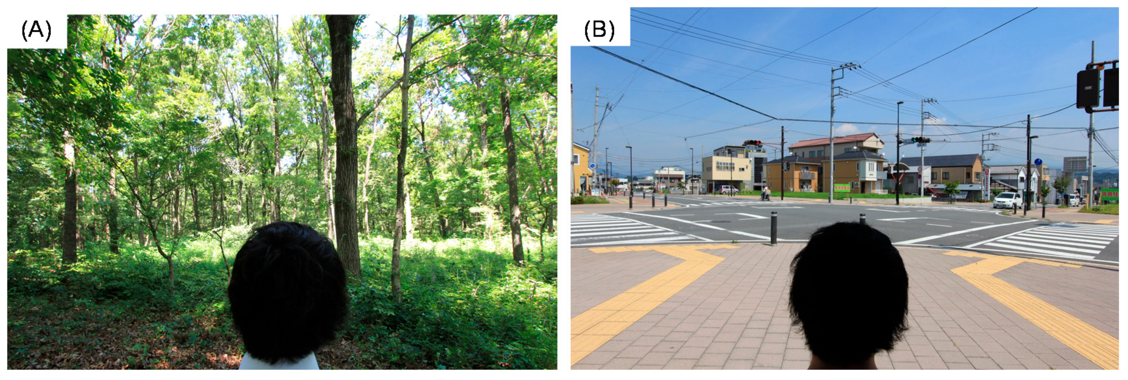 Ijerph 17 05479 g001