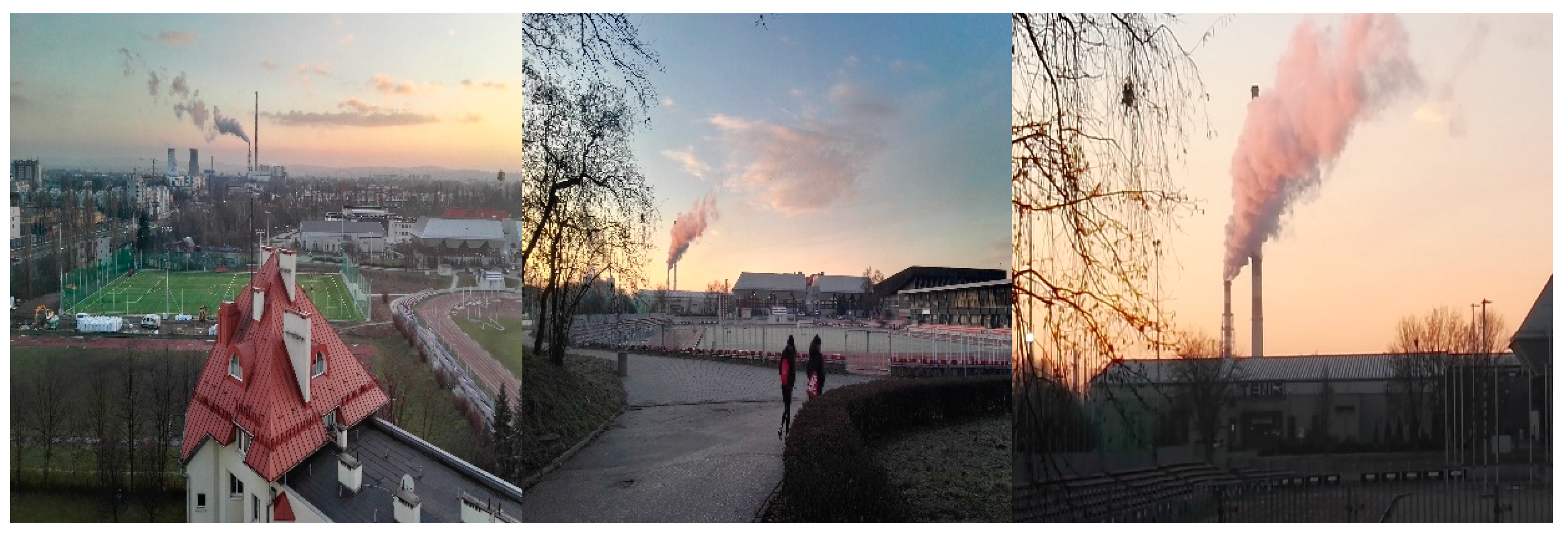 Ijerph 17 05510 g001