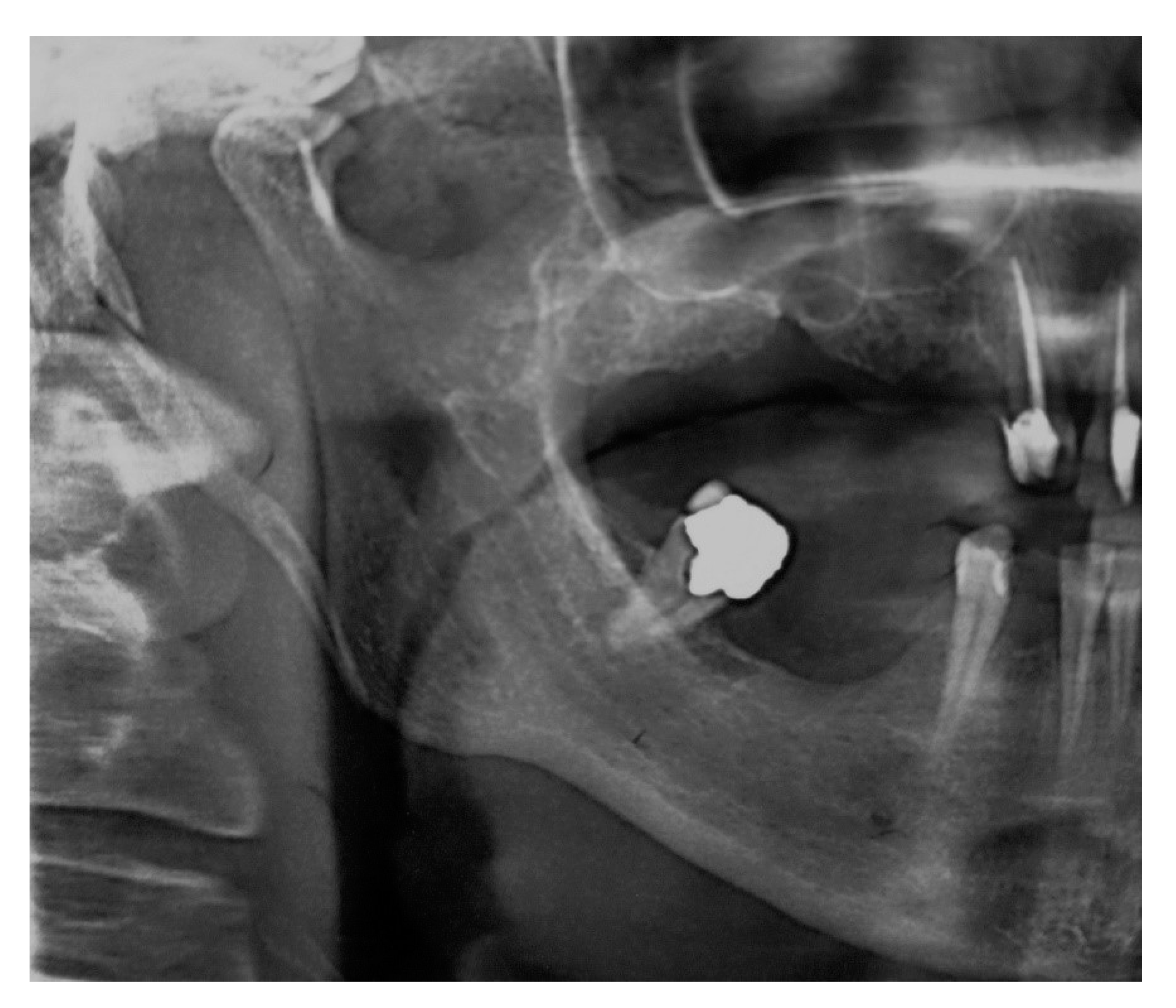 Ijerph 17 05654 g001