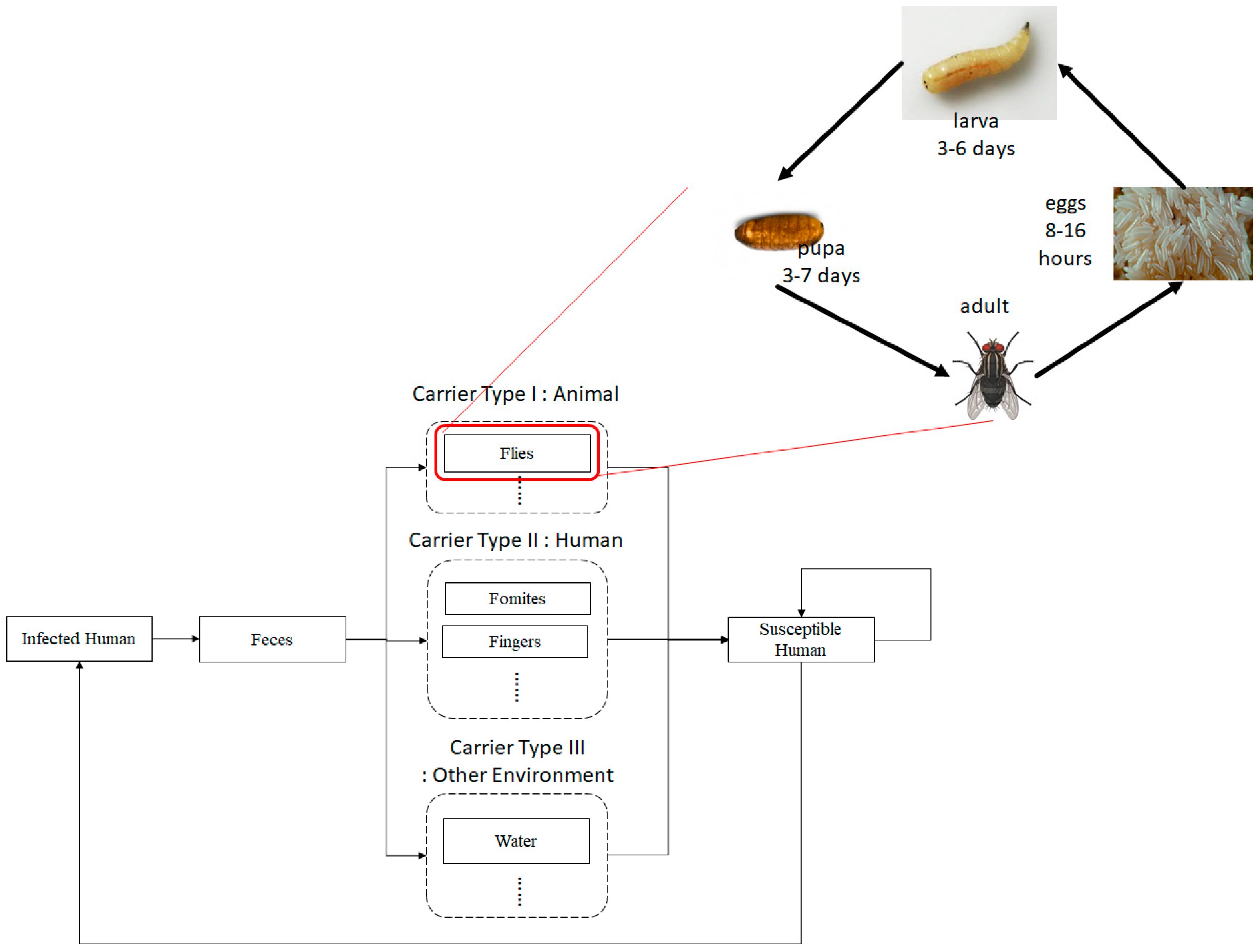 Ijerph 17 05692 g001 Ijerph 17 05692 g001