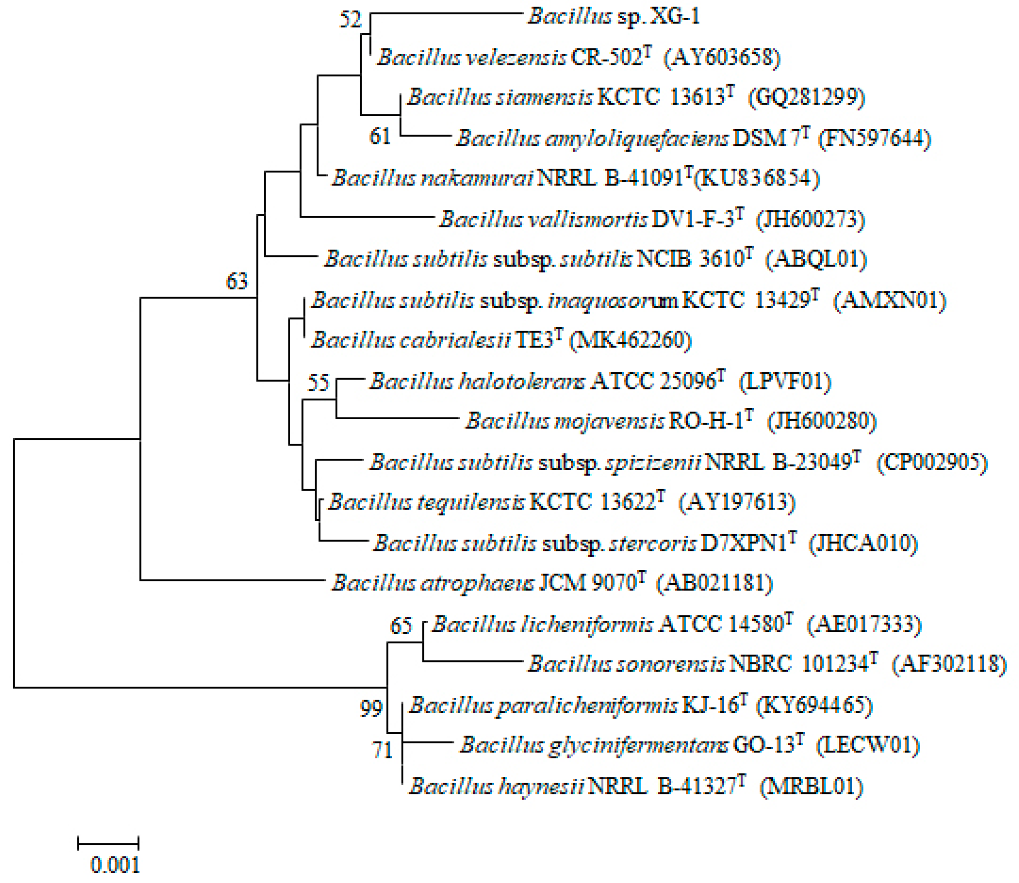 Ijerph 17 05714 g001