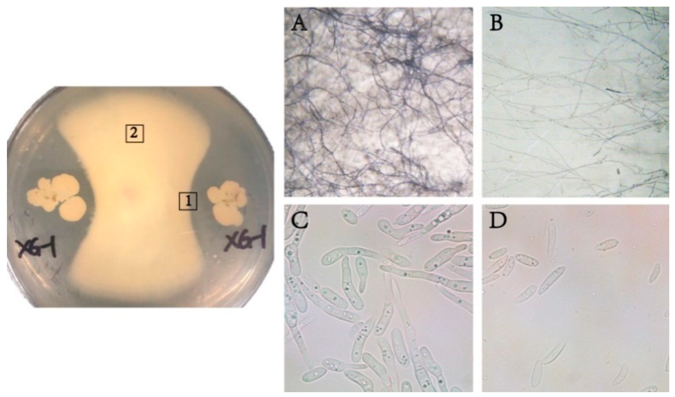 Ijerph 17 05714 g002