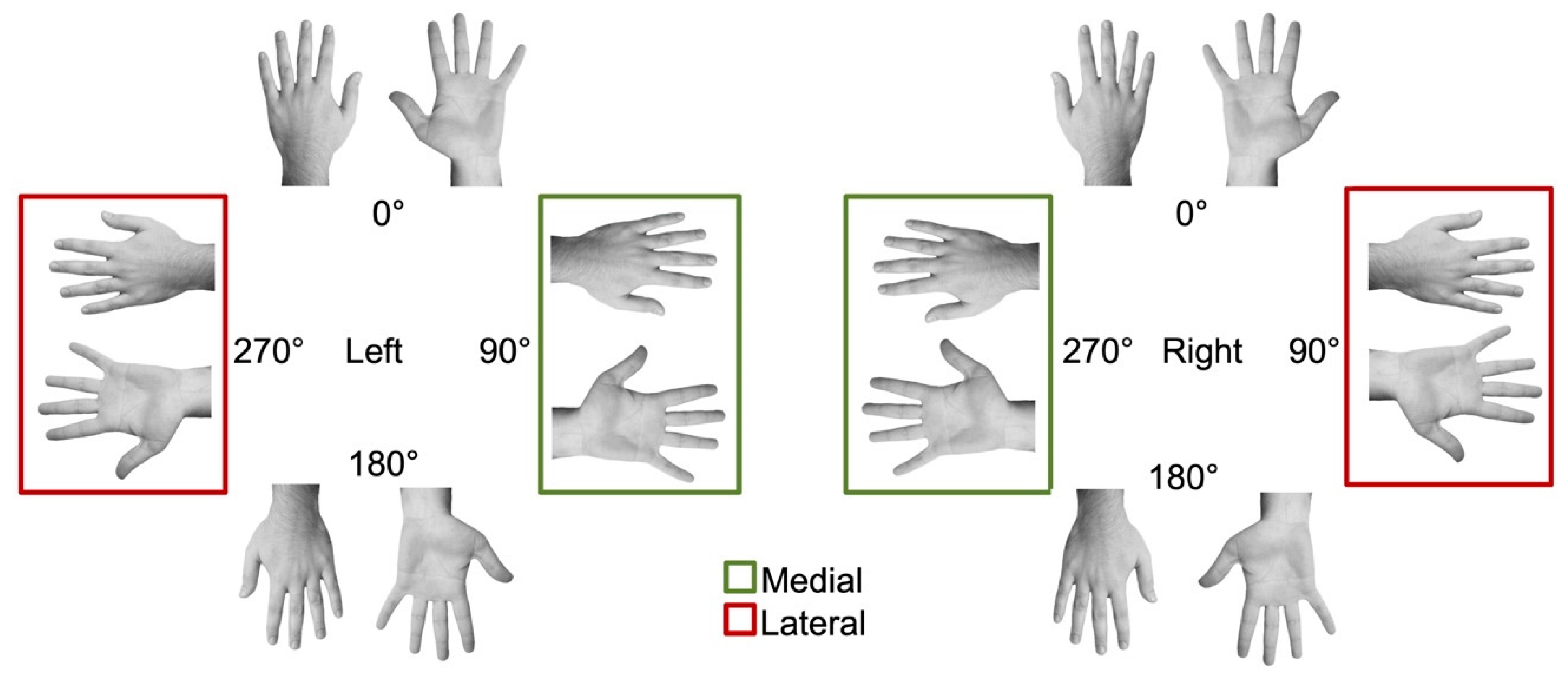 Ijerph 17 05851 g002