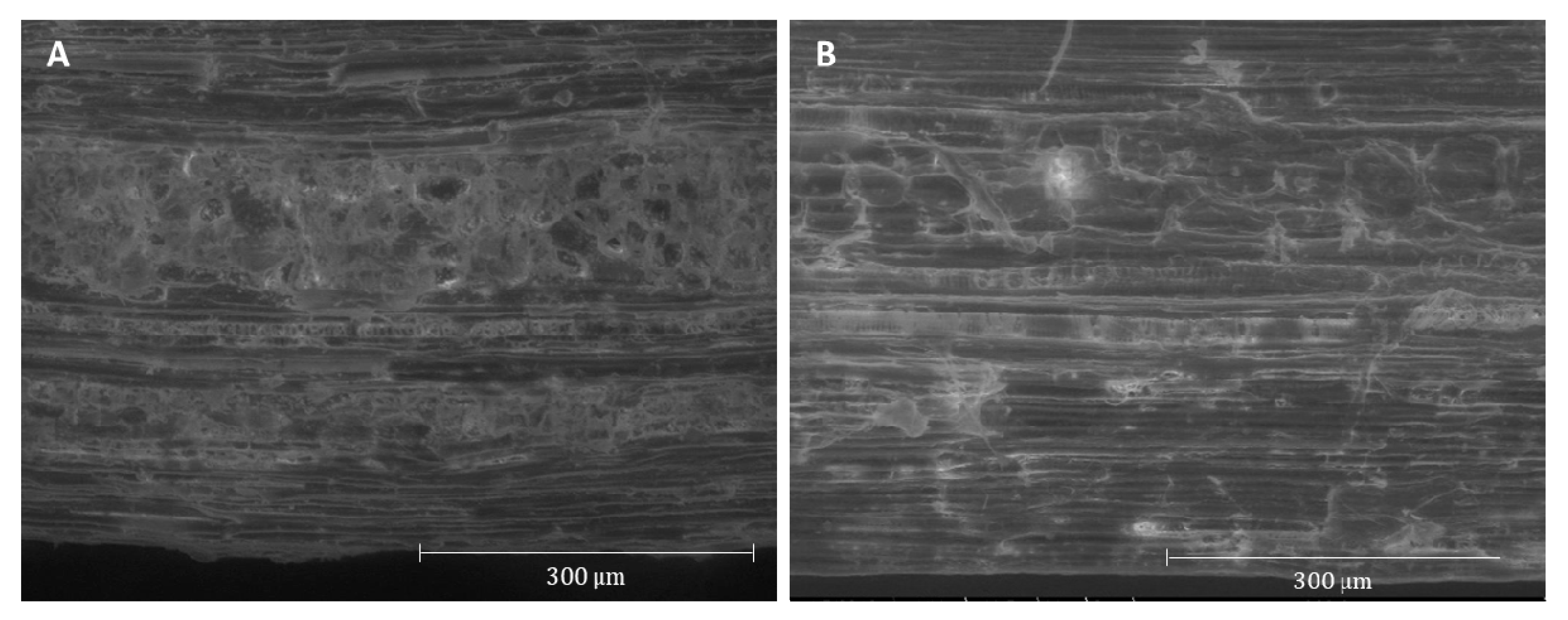 Ijerph 17 05900 g003