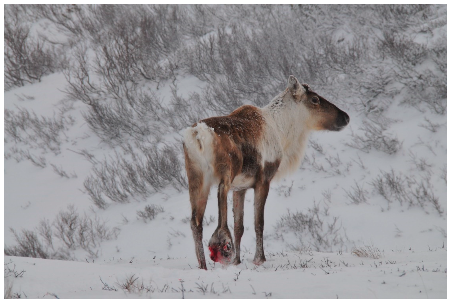 Ijerph 17 06002 g001