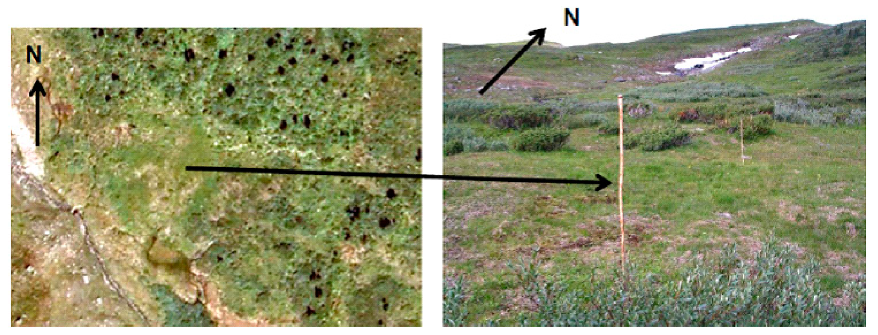 Ijerph 17 06002 g002