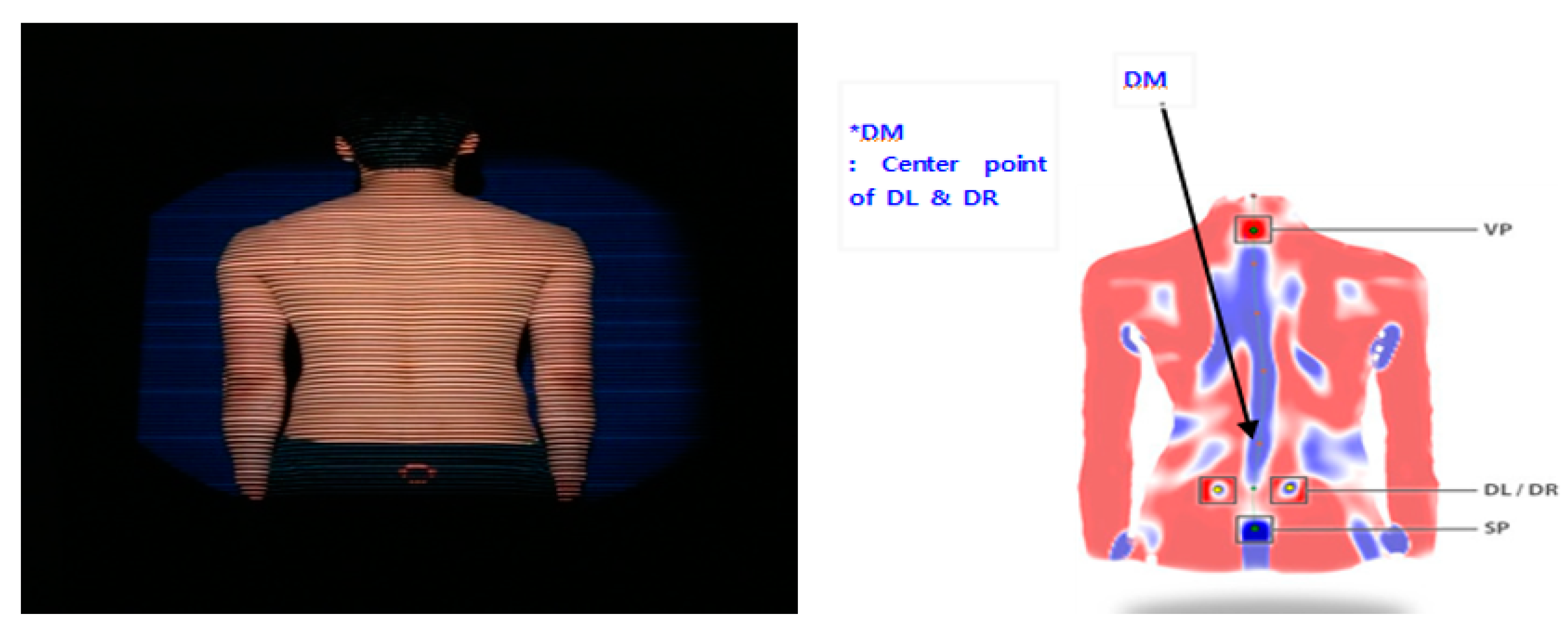 Ijerph 17 06431 g002