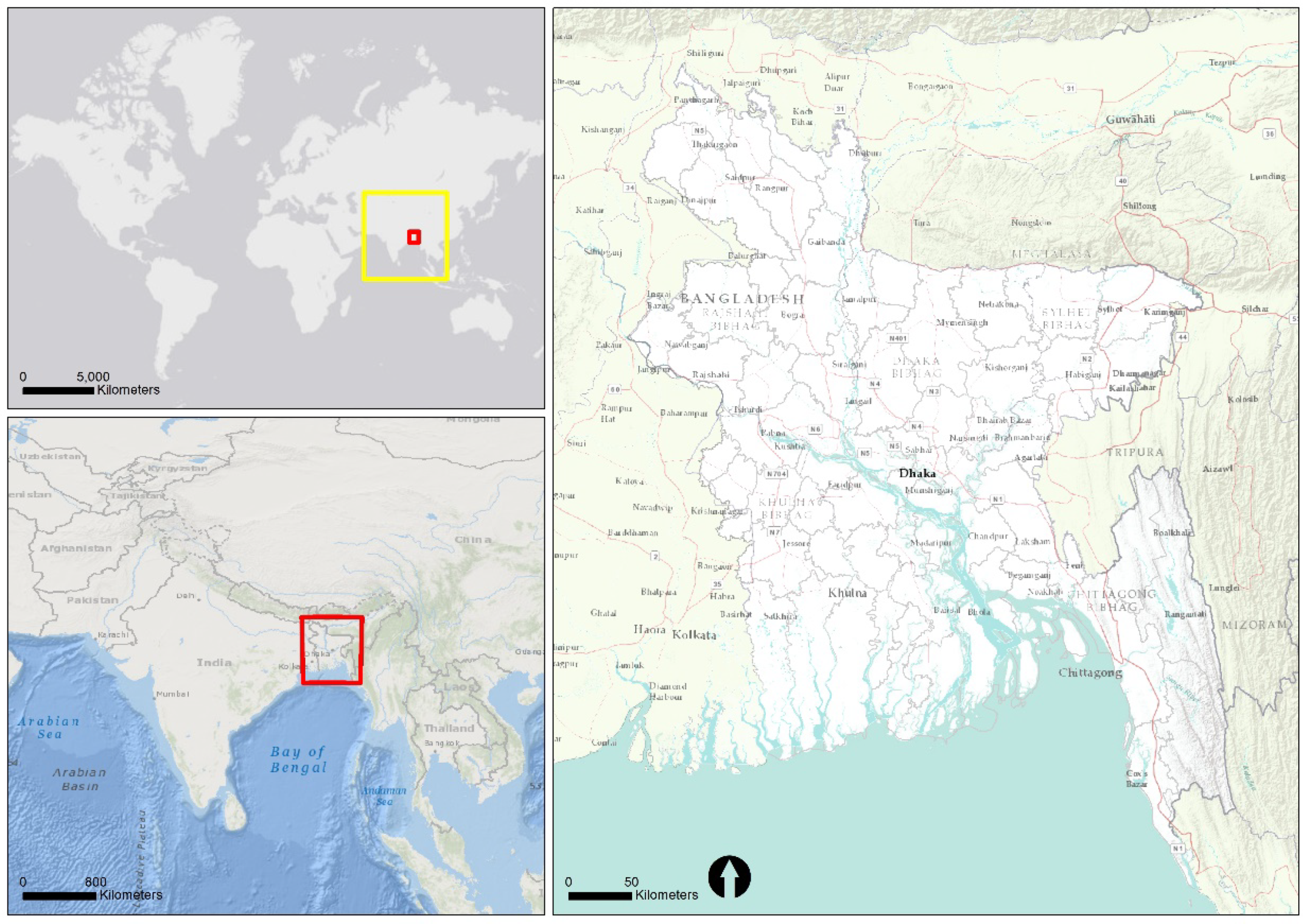 Ijerph 17 06439 g001