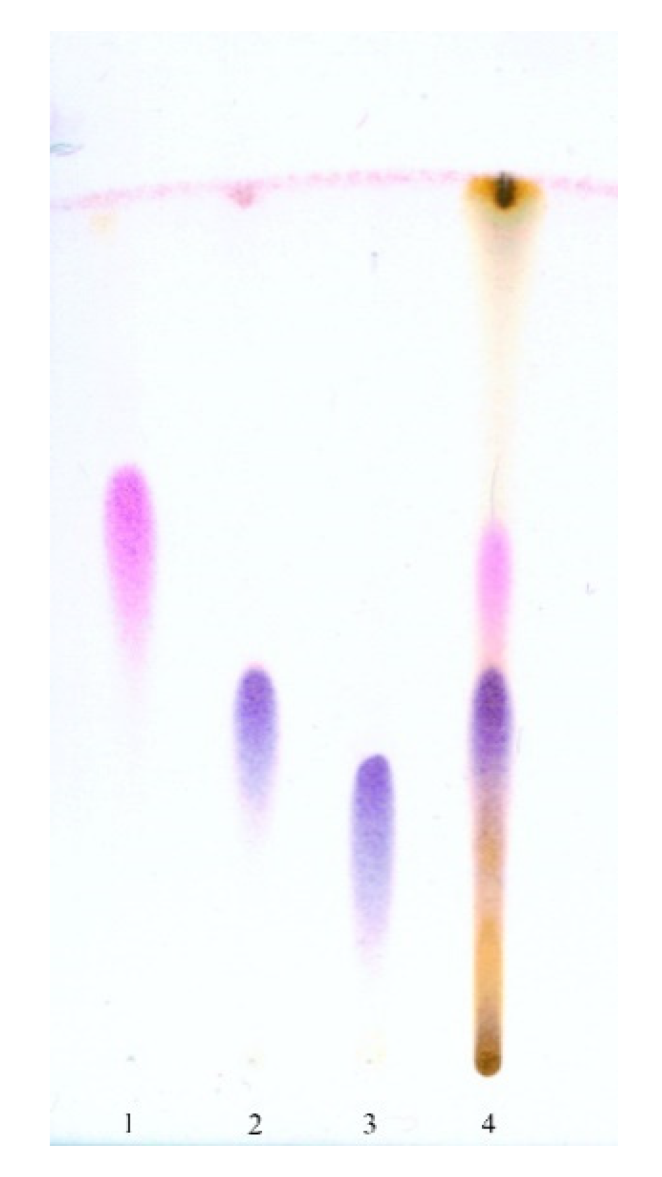 Ijerph 17 06453 g001