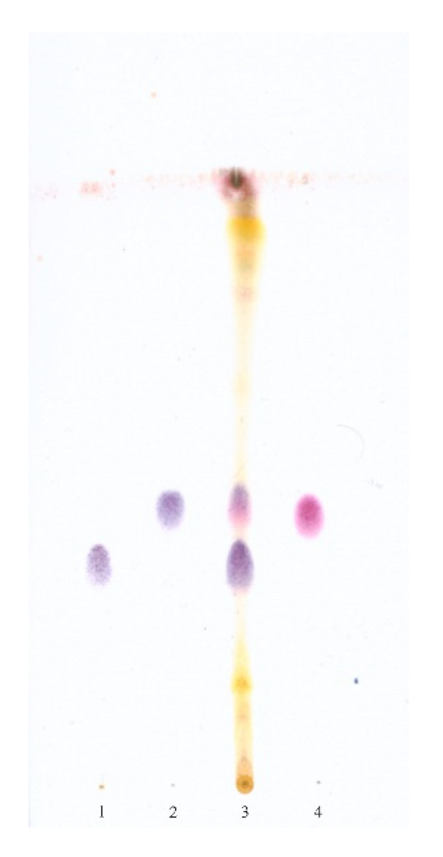 Ijerph 17 06453 g002