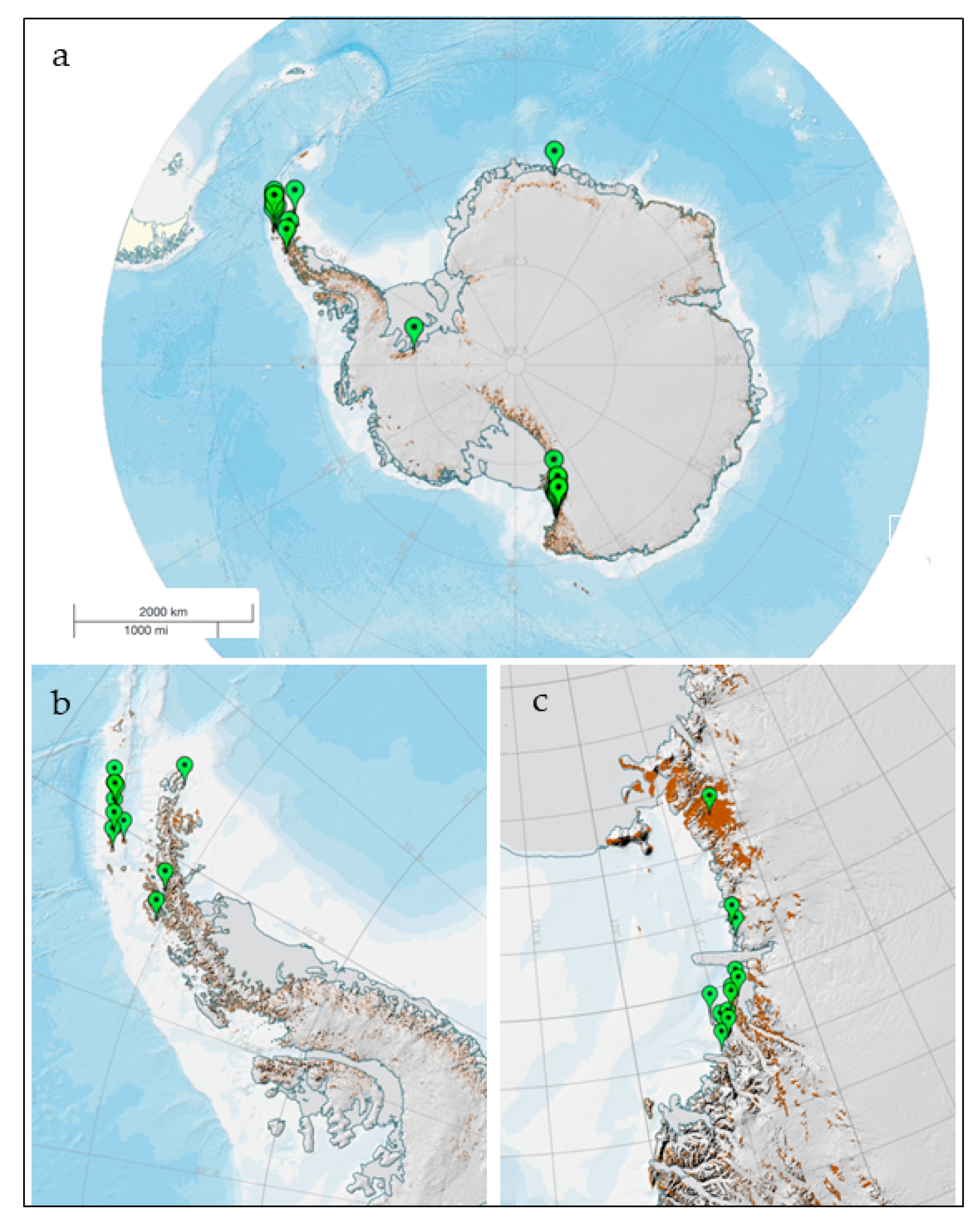 Ijerph 17 06459 g001 Ijerph 17 06459 g001