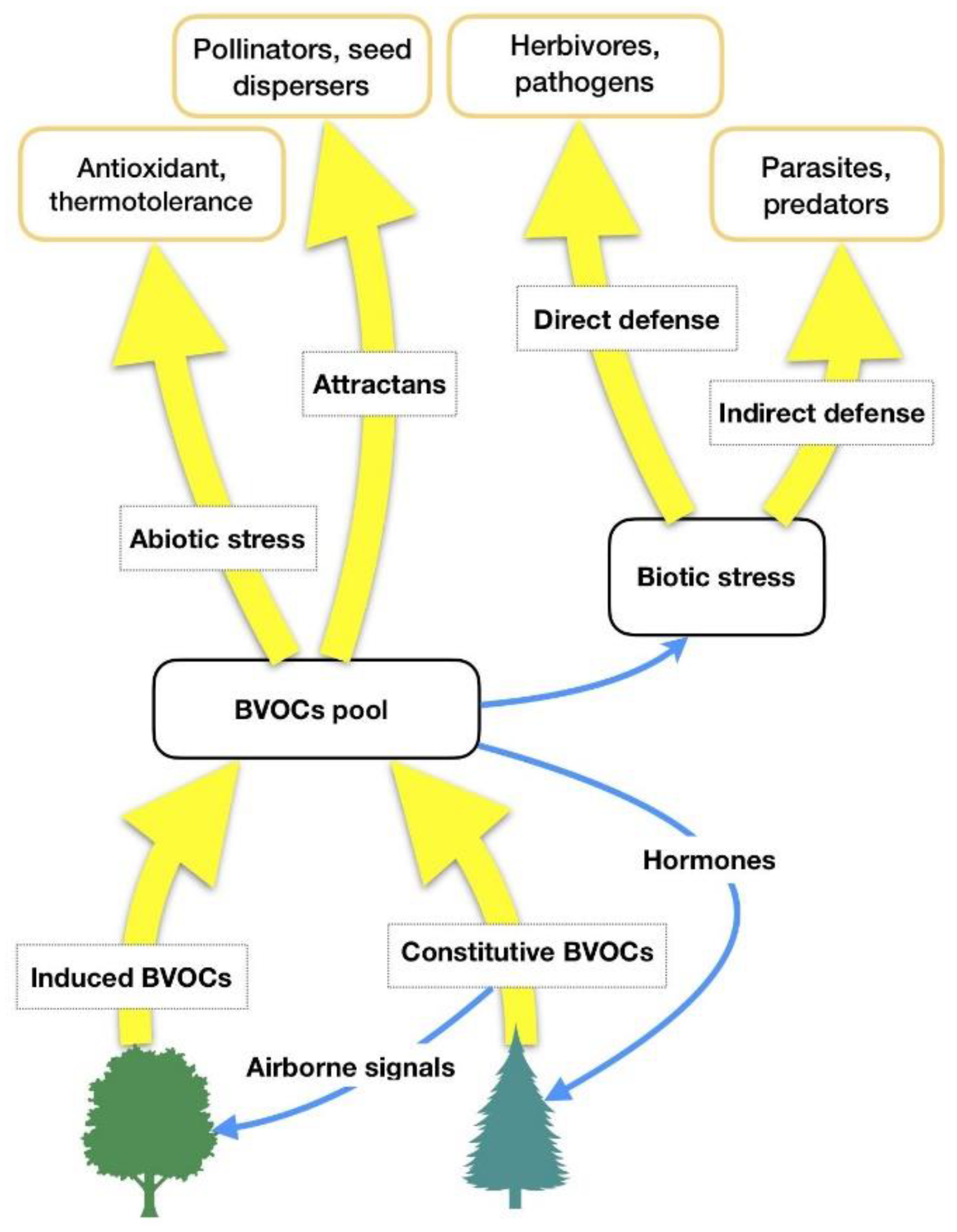 Ijerph 17 06506 g001