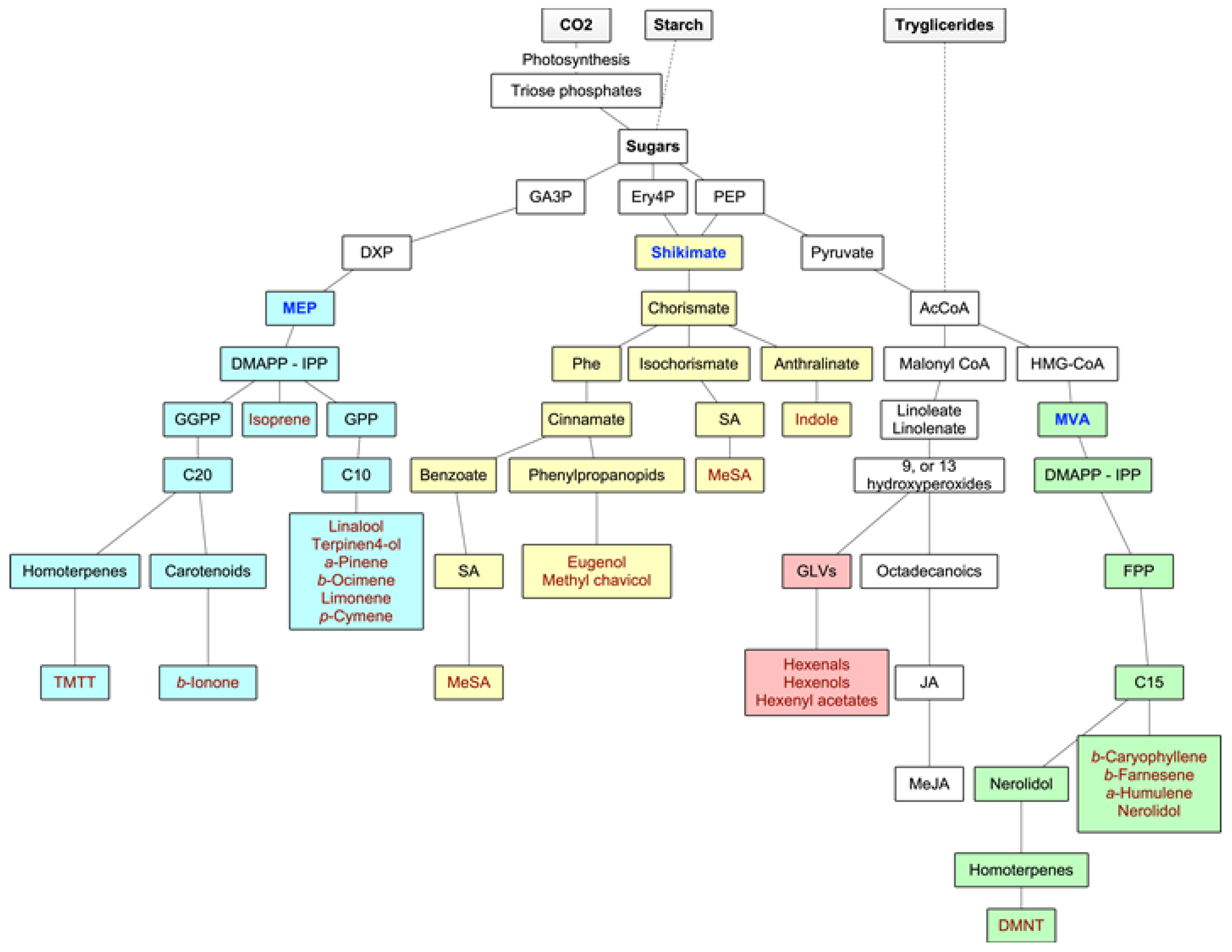 Ijerph 17 06506 g002