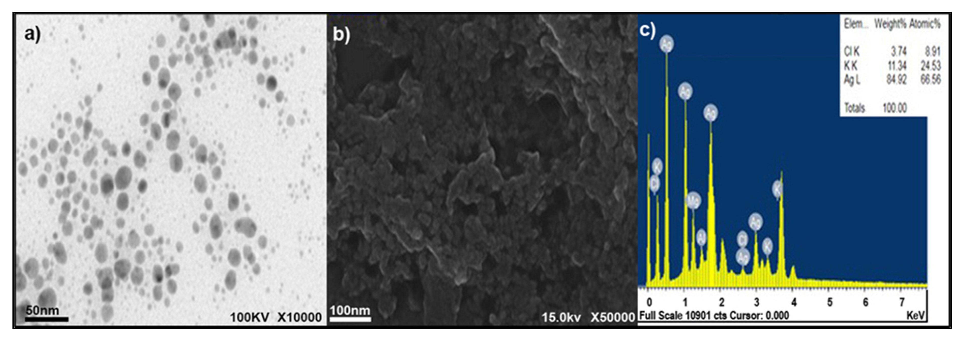 Ijerph 17 06564 g001 Ijerph 17 06564 g001