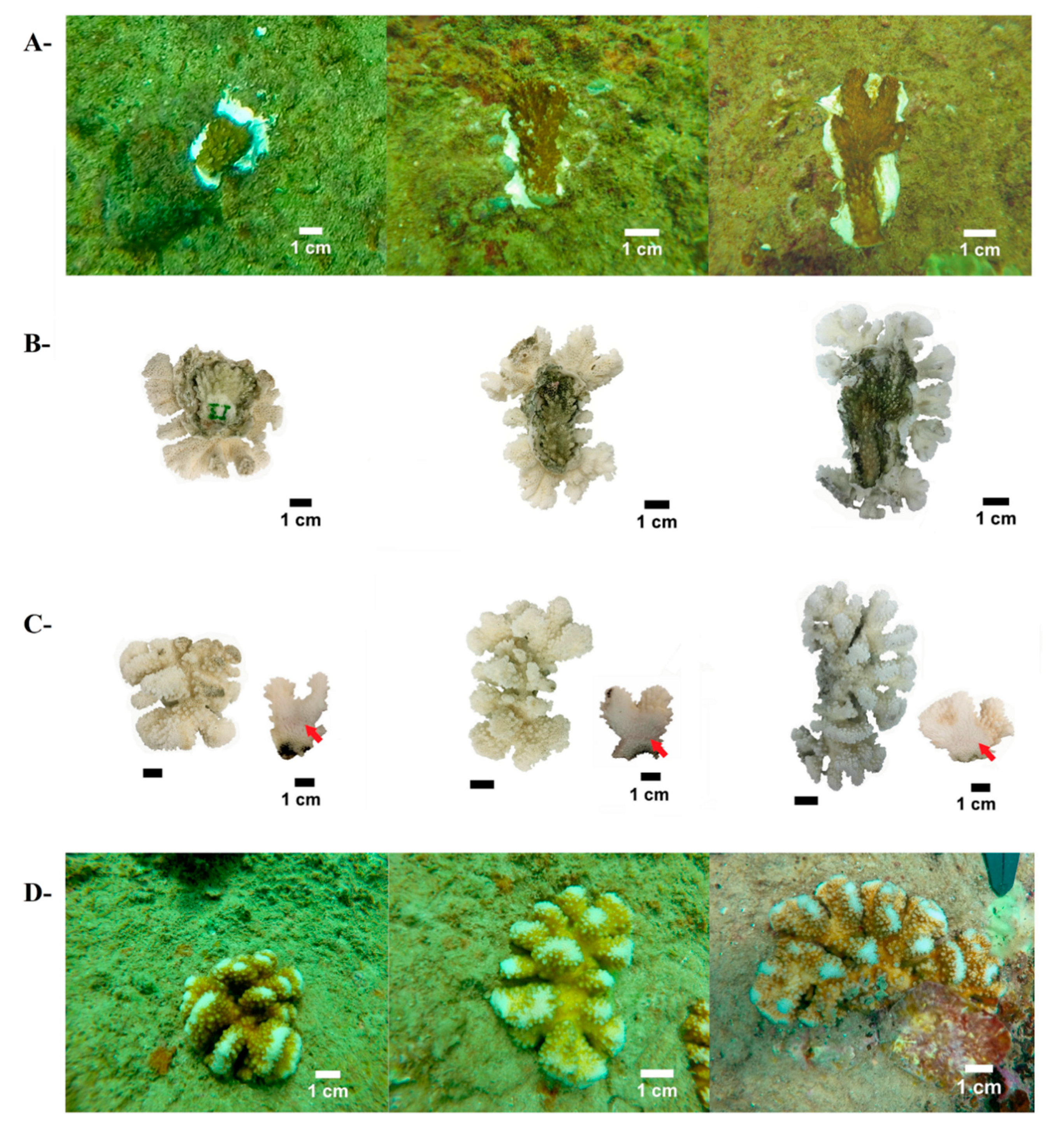 Ijerph 17 06574 g003