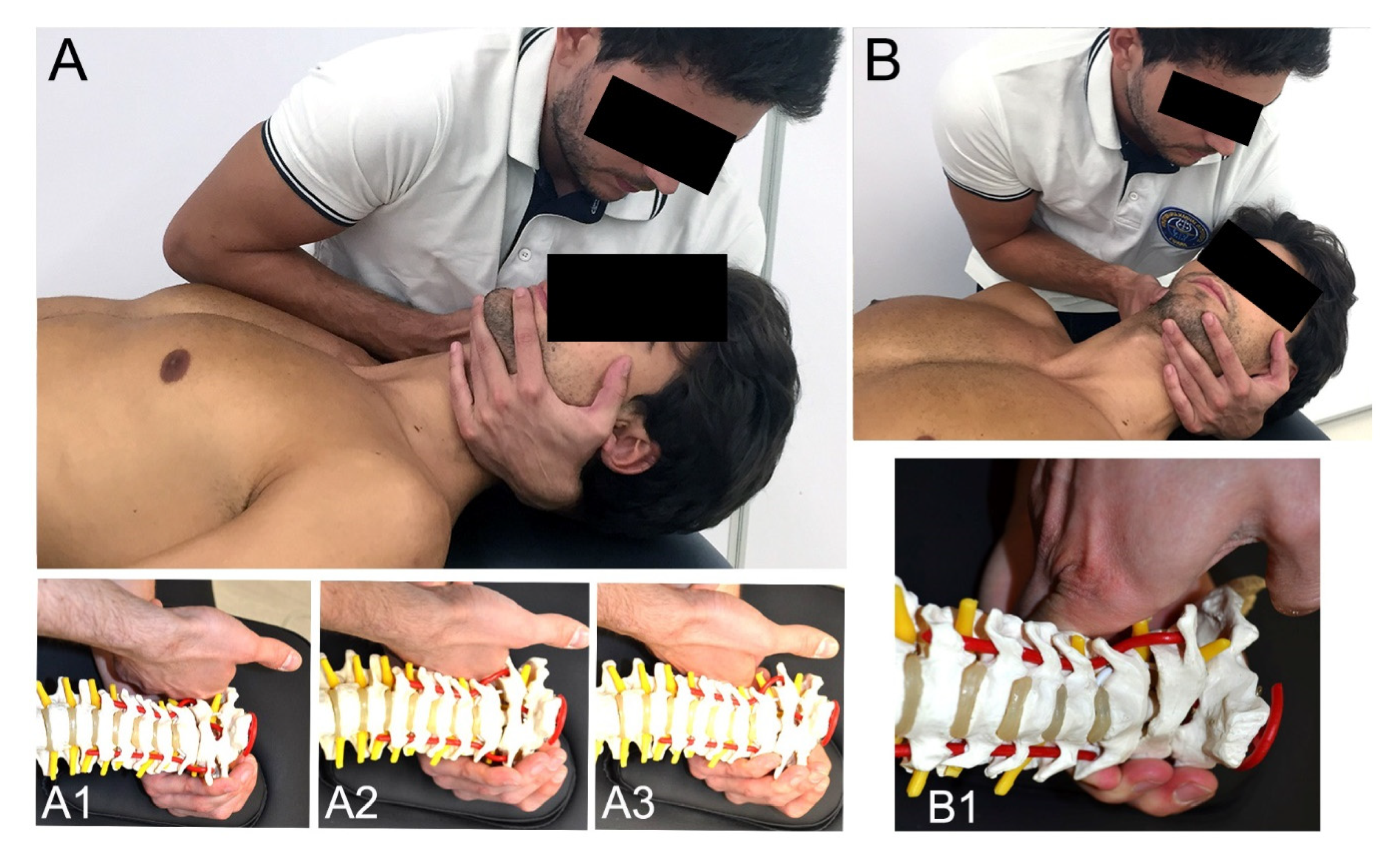 Ijerph 17 06601 g003