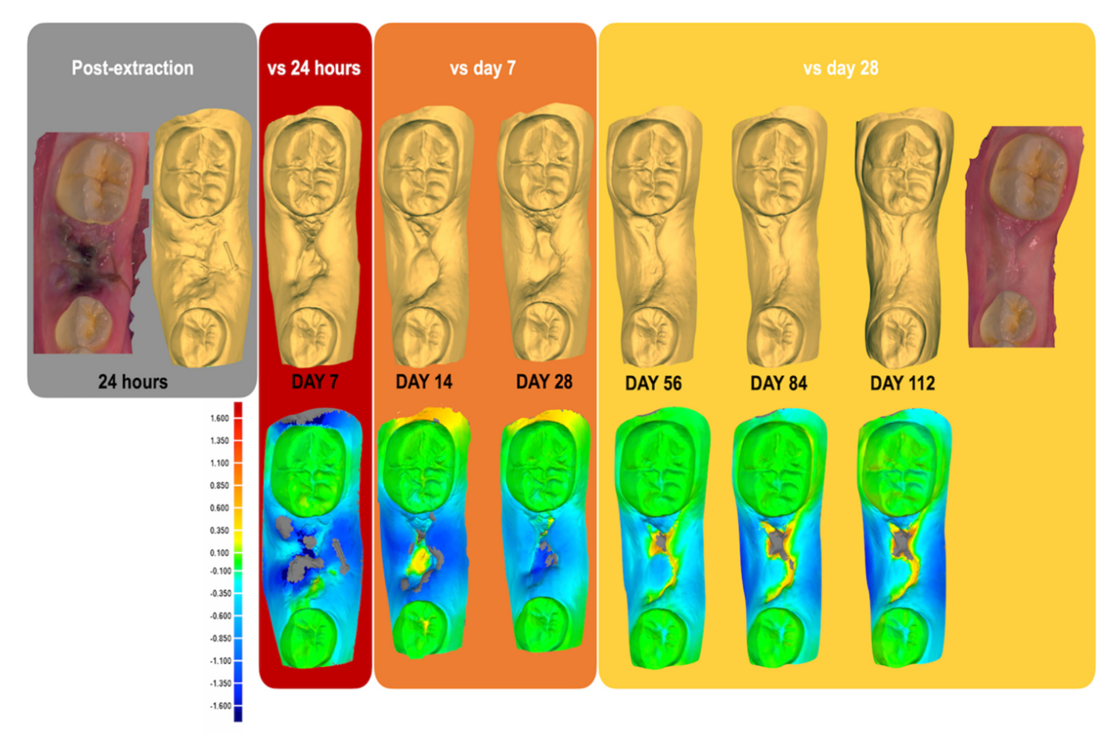 Ijerph 17 06638 g002