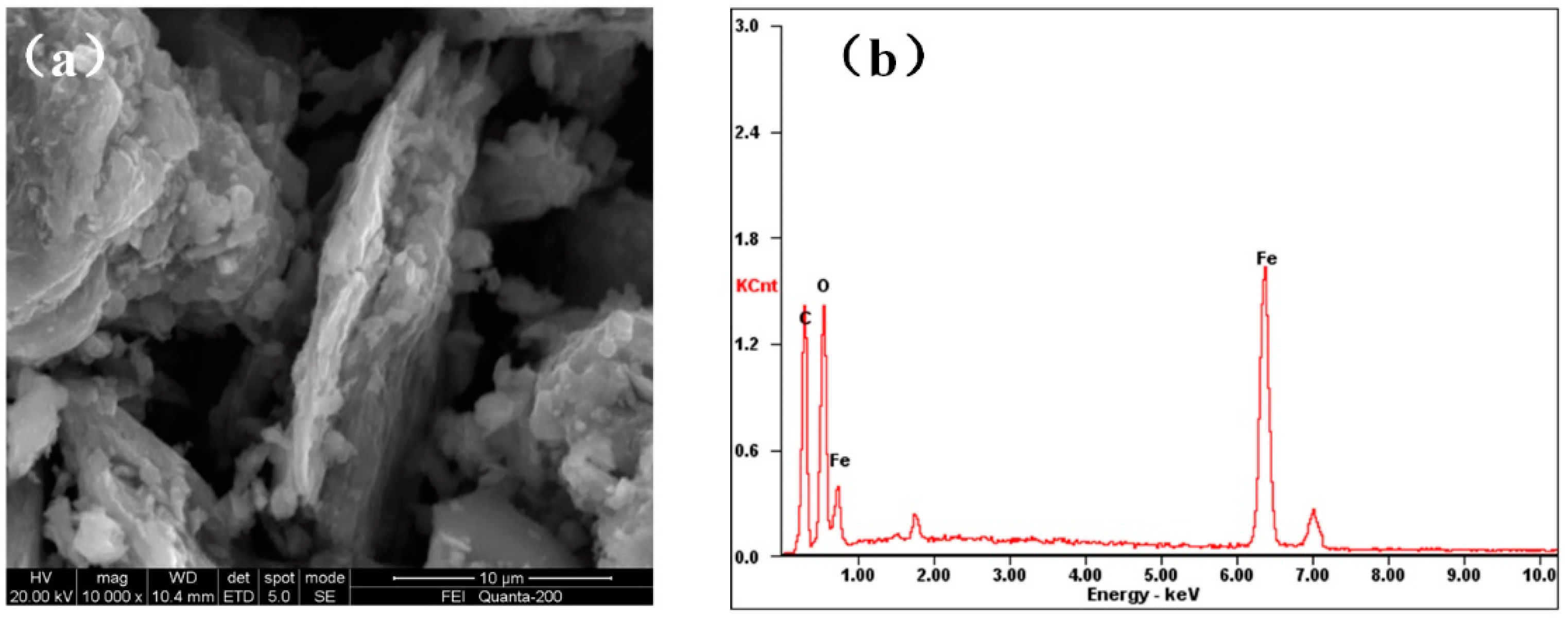 Ijerph 17 06648 g001 Ijerph 17 06648 g001