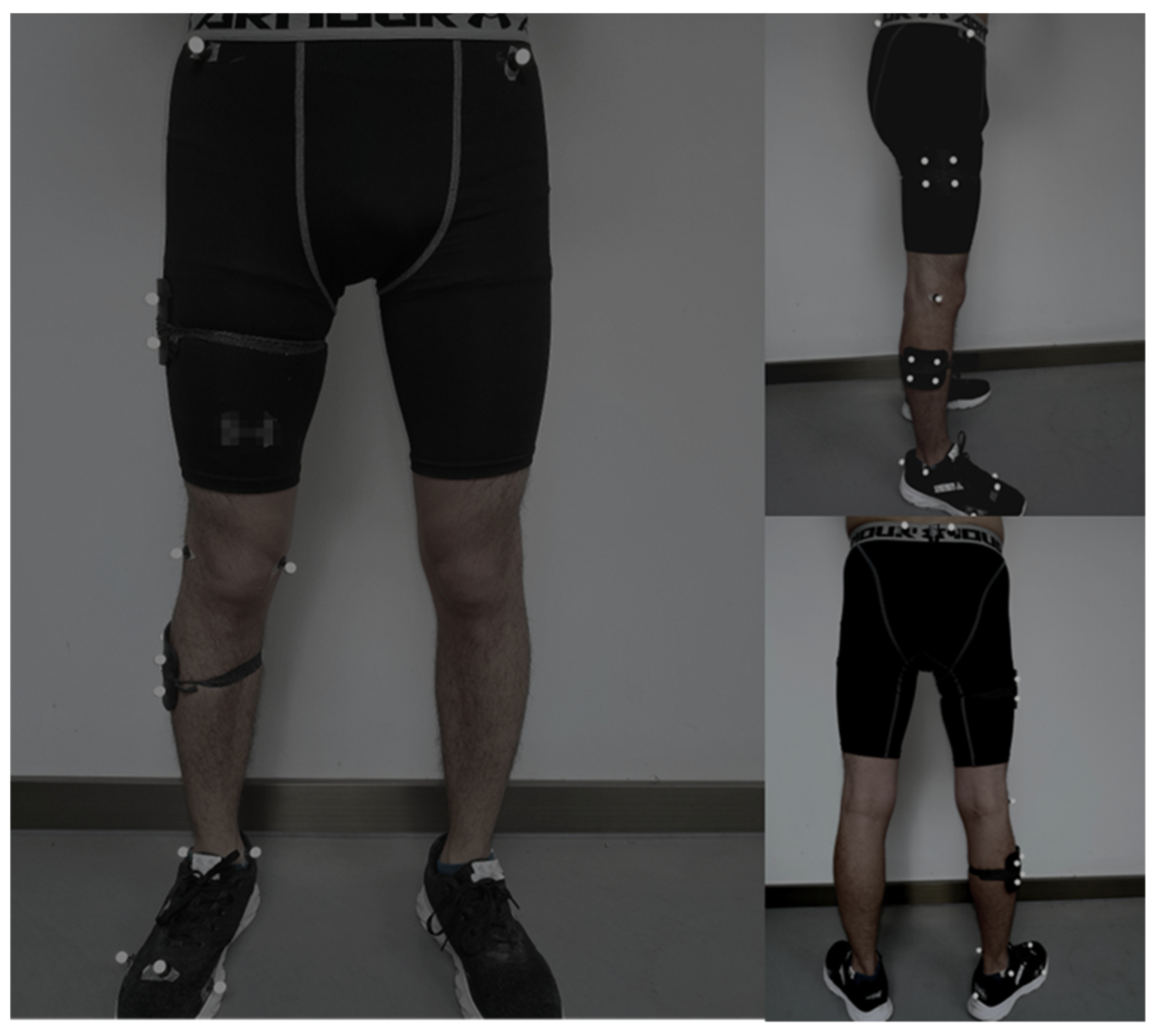 Ijerph 17 06669 g001